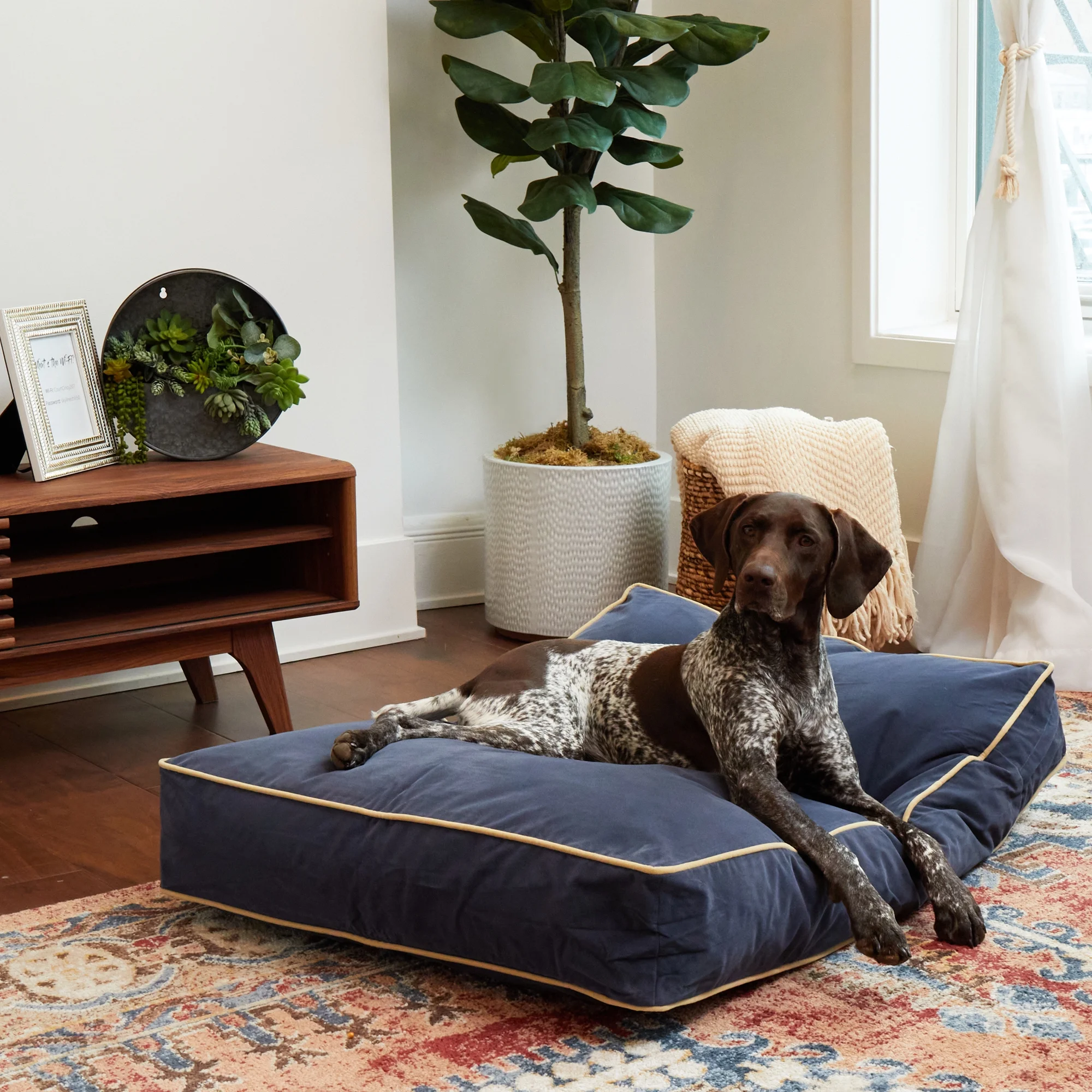 Happy Hounds Buster Rectangle Pillow Style Dog Bed, Denim, Medium (42 x 30 in.)