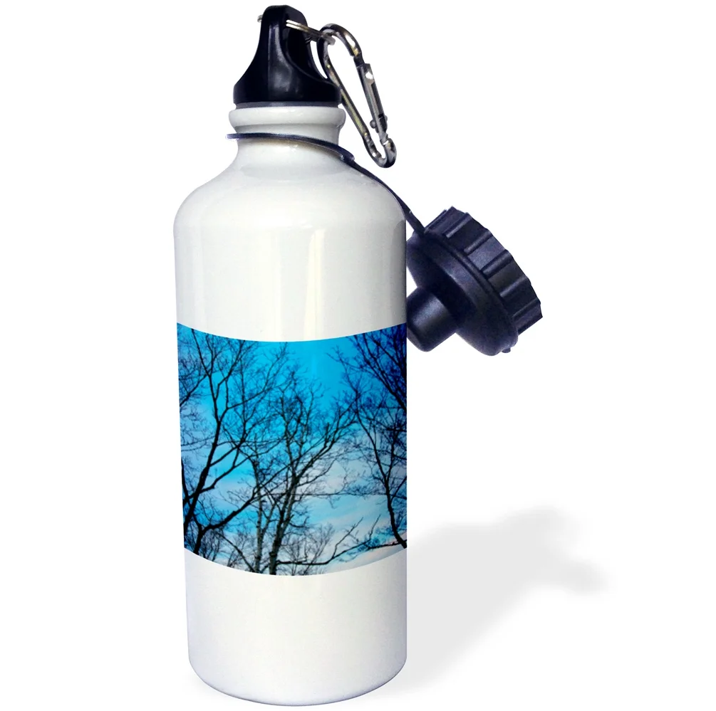 Trees Beautiful Blue Sky 21 oz Sports Water Bottle wb-6378-1