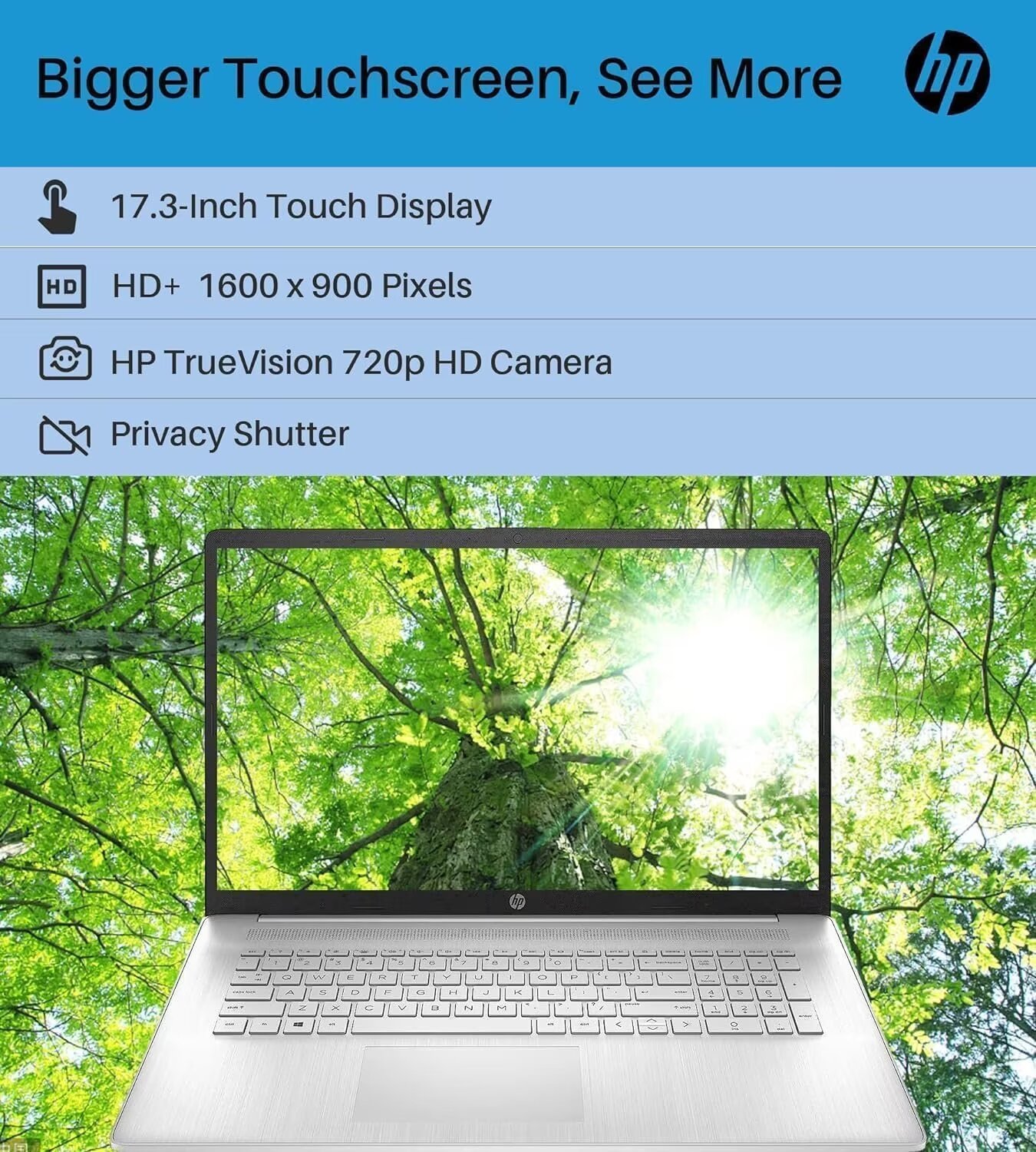 HP Business Laptop 17.3