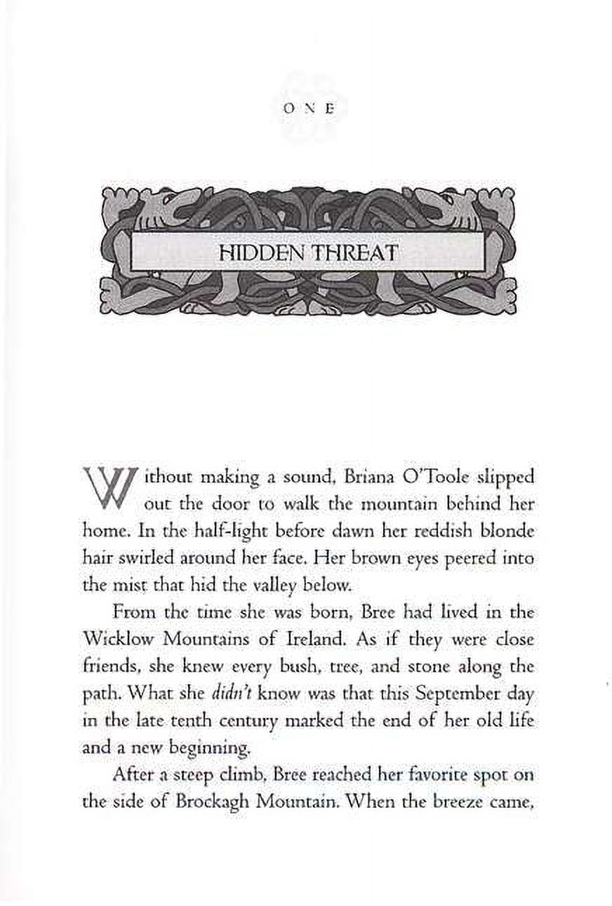 Viking Quest Complete Set : Raiders From the Sea; Mystery of the Silver Coins; The Invisible Friend; Heart of Courage; The Raider's Promise