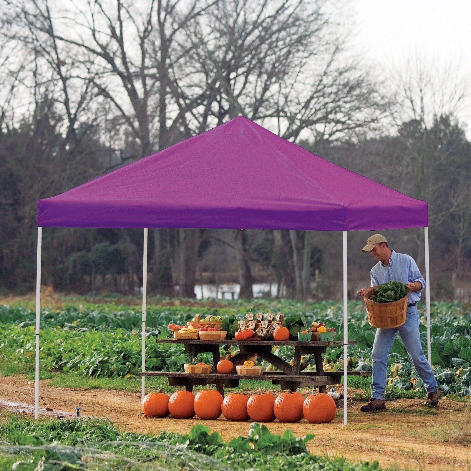 10' x 10' Pro Pop-up Canopy Straight Leg, Purple Cover