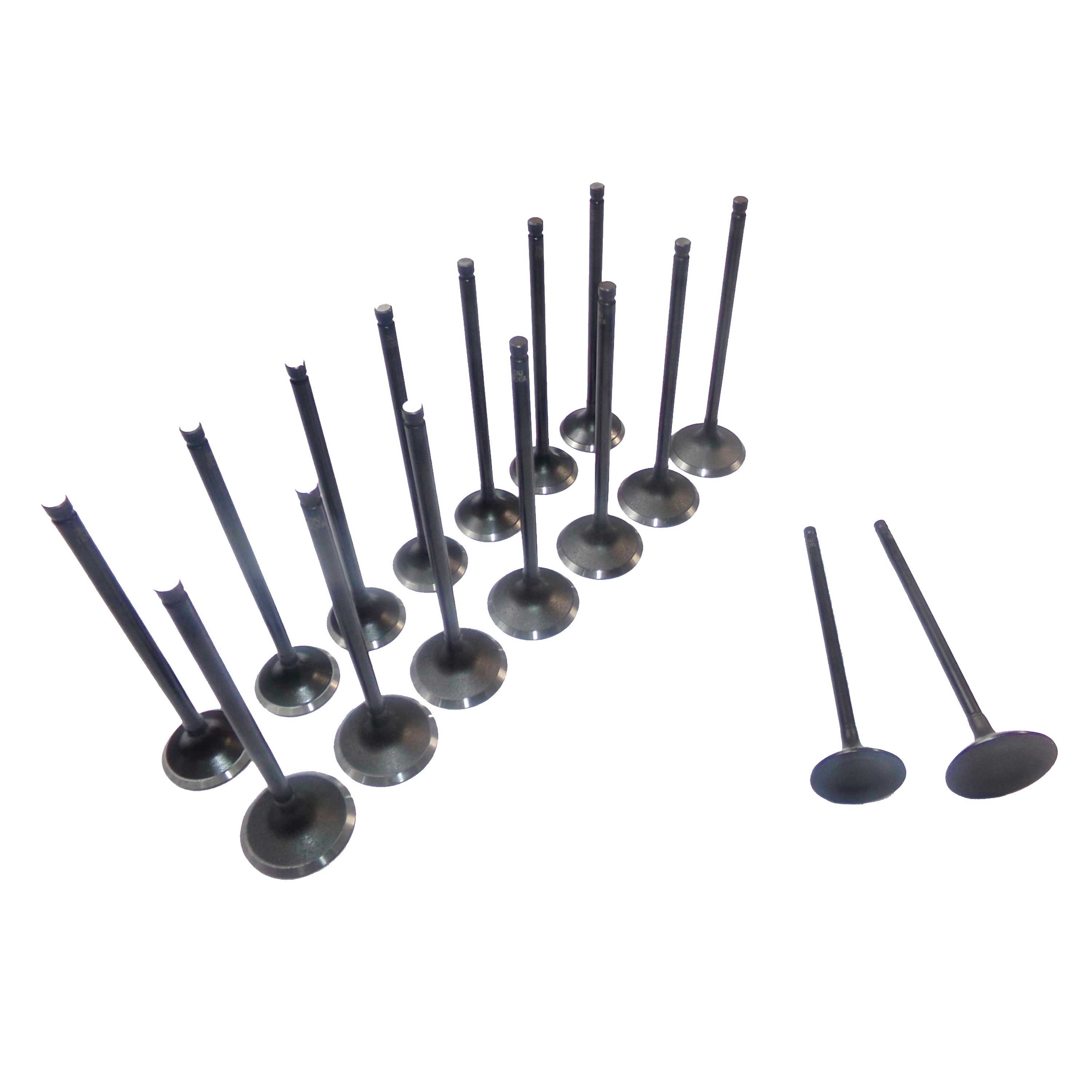 DNJ VK16245 Exhaust Intake Valve Kit Fits Cars & Trucks 1994-2002 Acura, Honda, Isuzu L4 2.2L, 2.3L SOHC 16V EV245 X8 IV245A X8