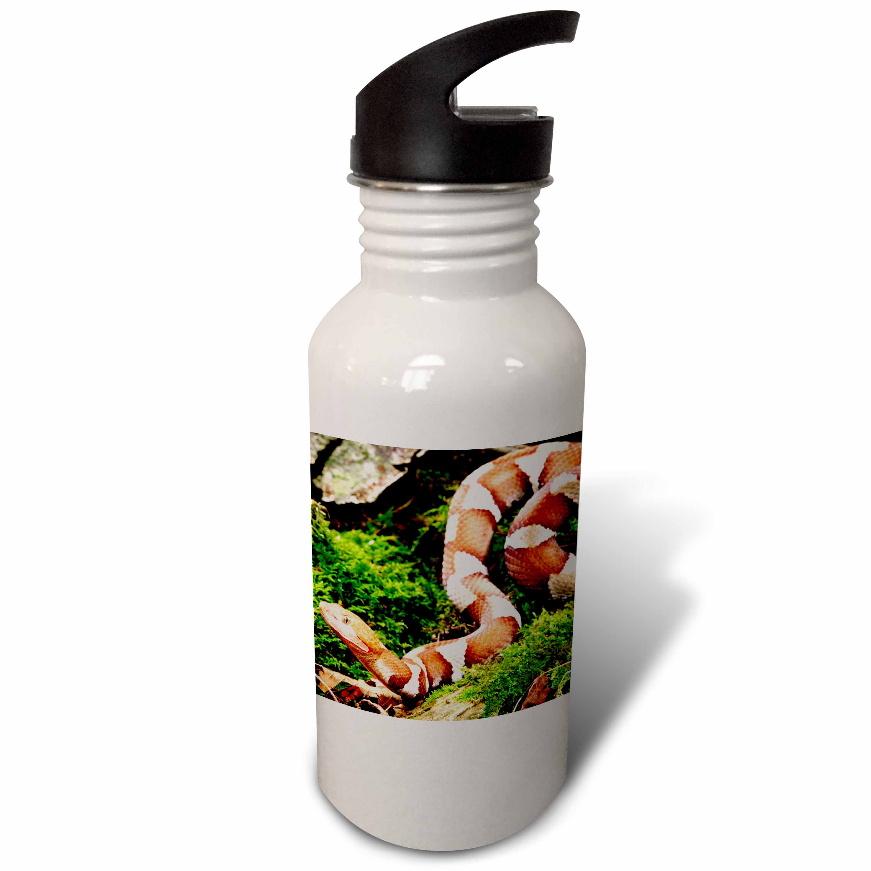Northern Copperhead snake - NA02 DNO0425 - David Northcott 21 oz Sports Water Bottle wb-83949-1
