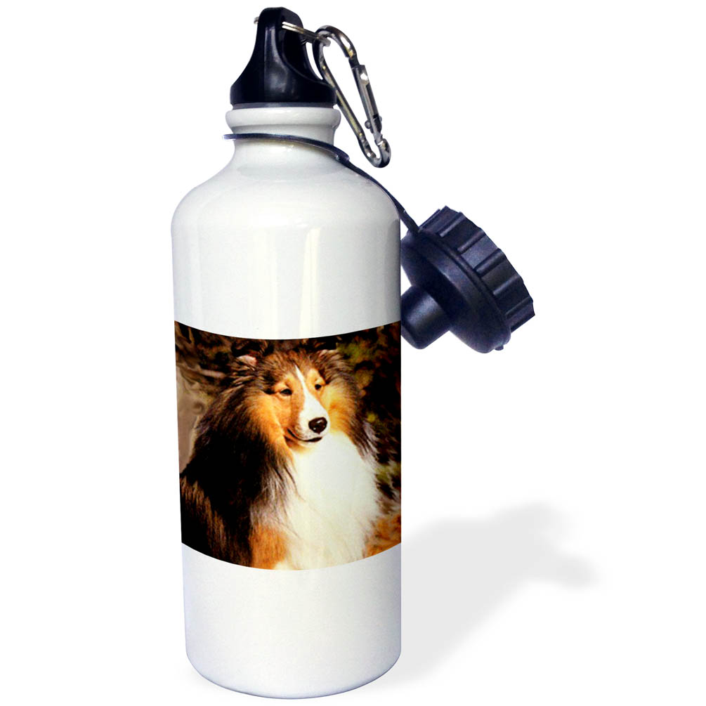 Sable Border Collie 21 oz Sports Water Bottle wb-665-1