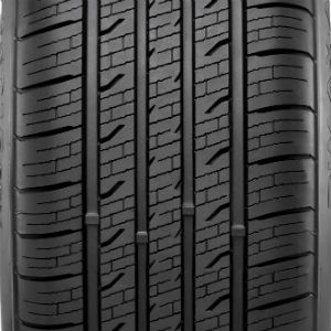Radar Dimax AS-6 205/60R15 95V Tire