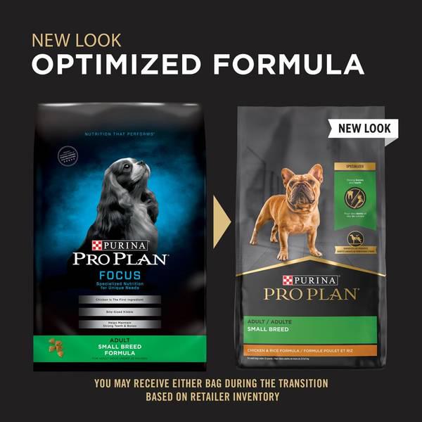 6 lb Focus Small Breed Adult Dry Dog Food