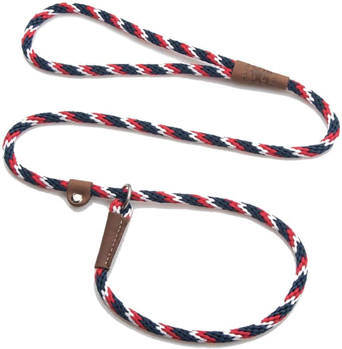 Mendota Pet Slip Leash - Dog Lead and Collar Combo - Made in The USA - Pride, 3/8 in x 6 ft - for Small/Medium Breeds