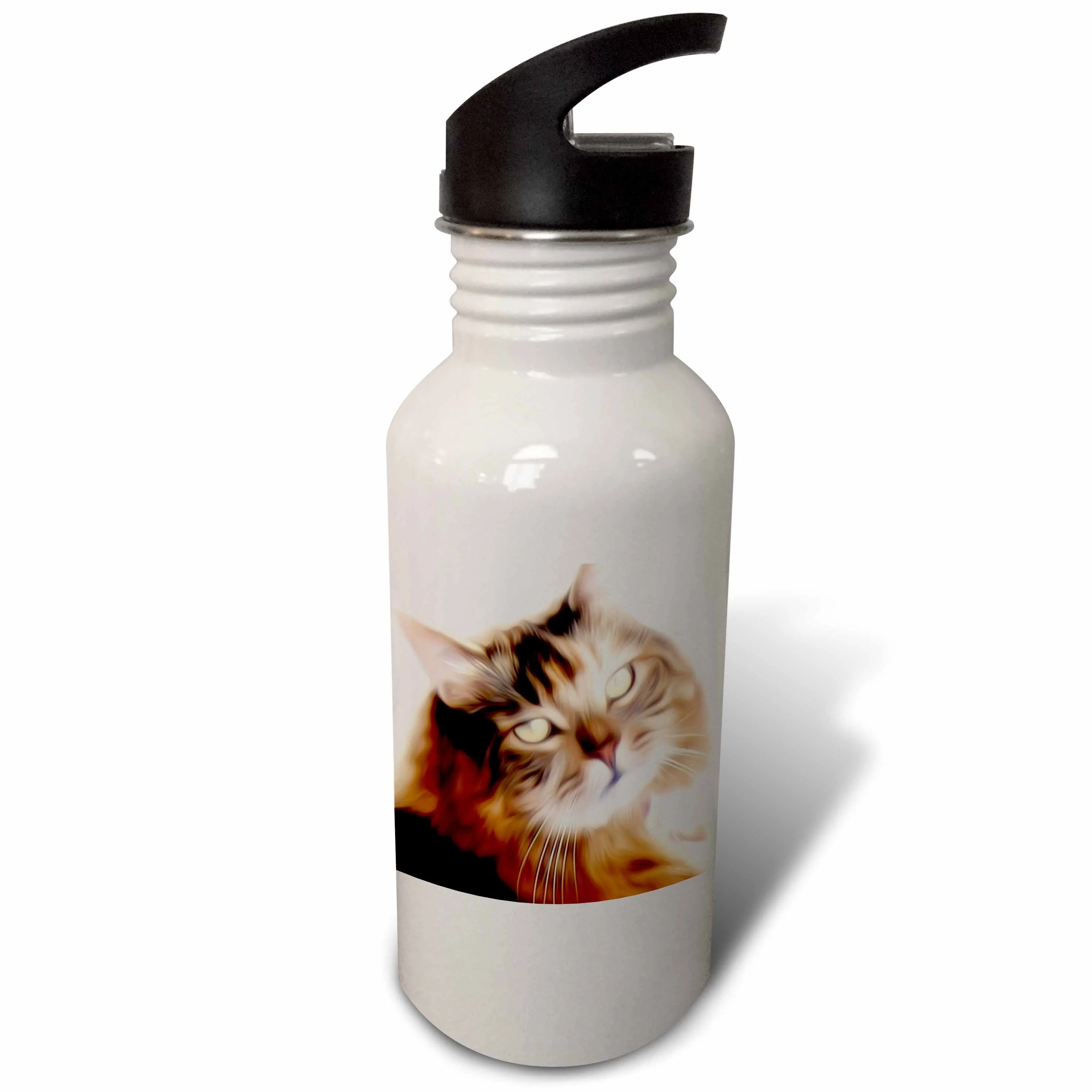 Beautiful Painted Maine Coon Cat 21 oz Sports Water Bottle wb-53802-1