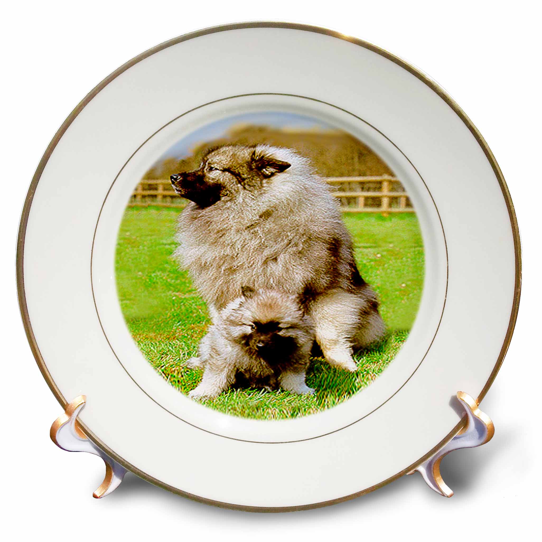 Keeshond 8 inch Porcelain Plate cp-489-1