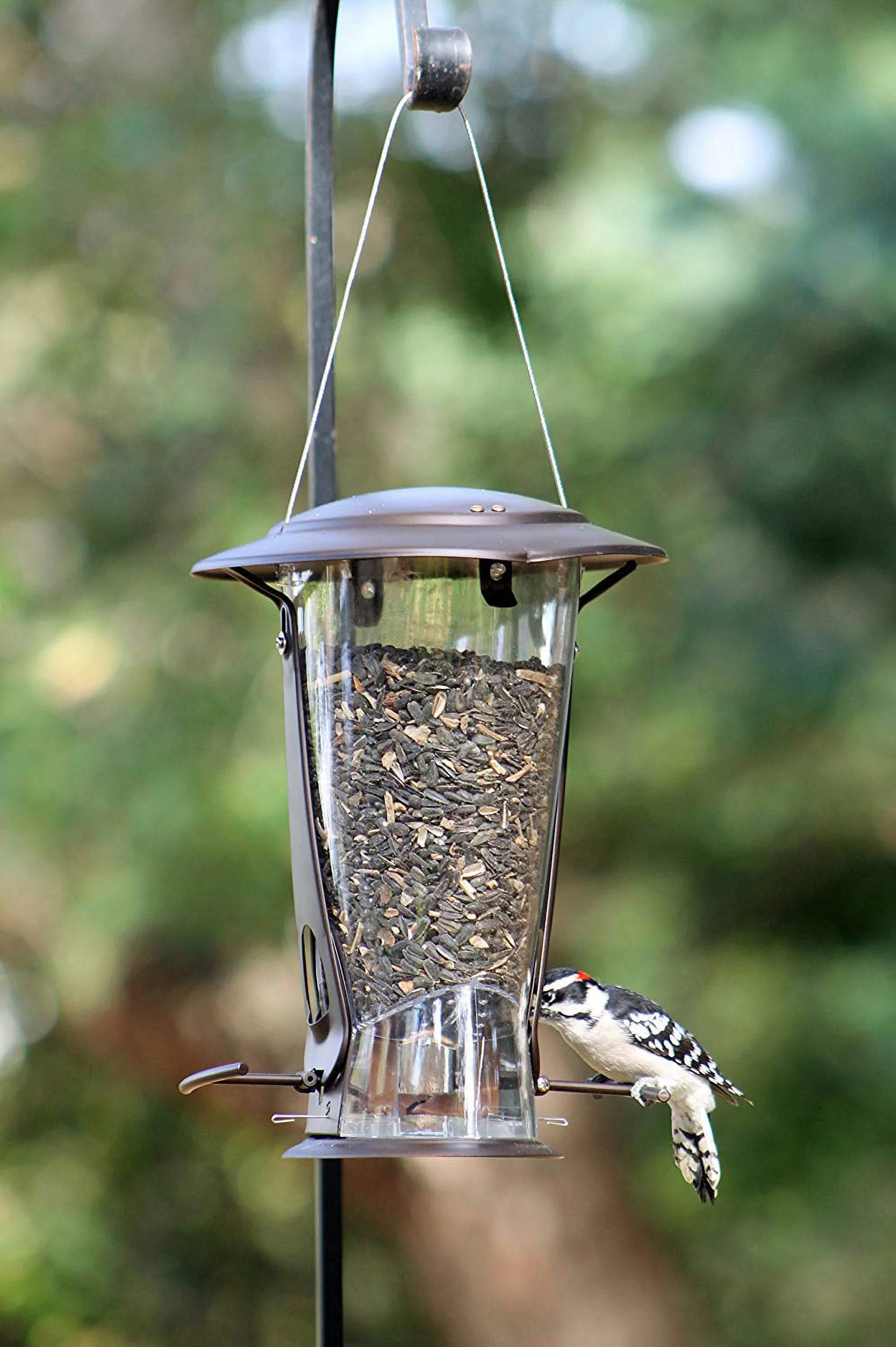 Squirrel-X Wild Bird 4 lb Plastic Tube Bird Feeder 2 ports