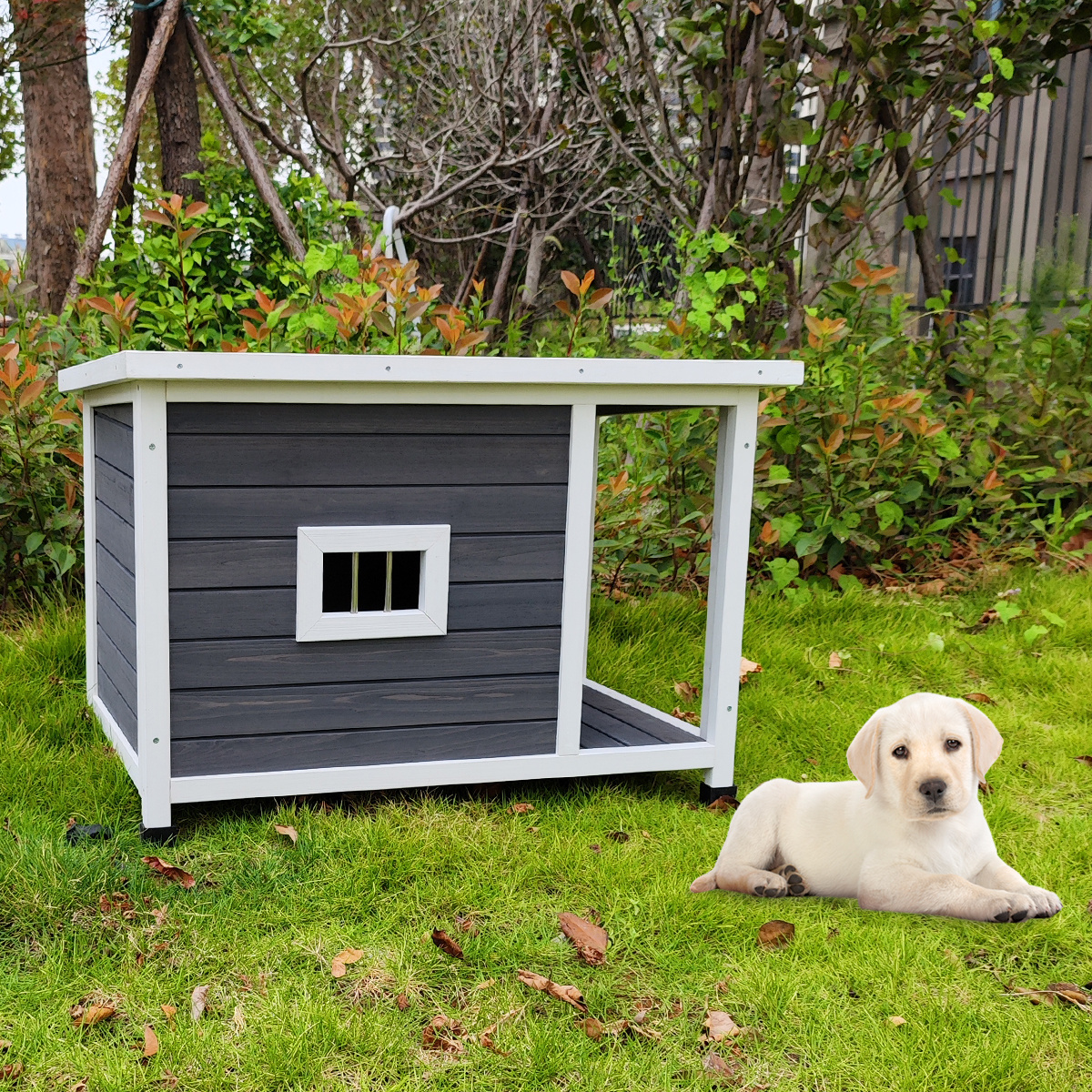 Premium Wooden Dog Kennel with Porch Deck - Ultimate Outdoor Retreat