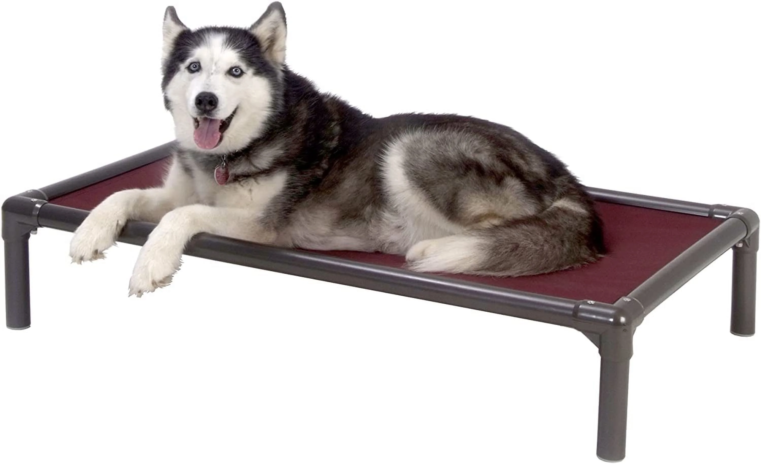 Kuranda Orthopedic Chewproof Elevated Dog Bed - Indoor - Walnut PVC Frame