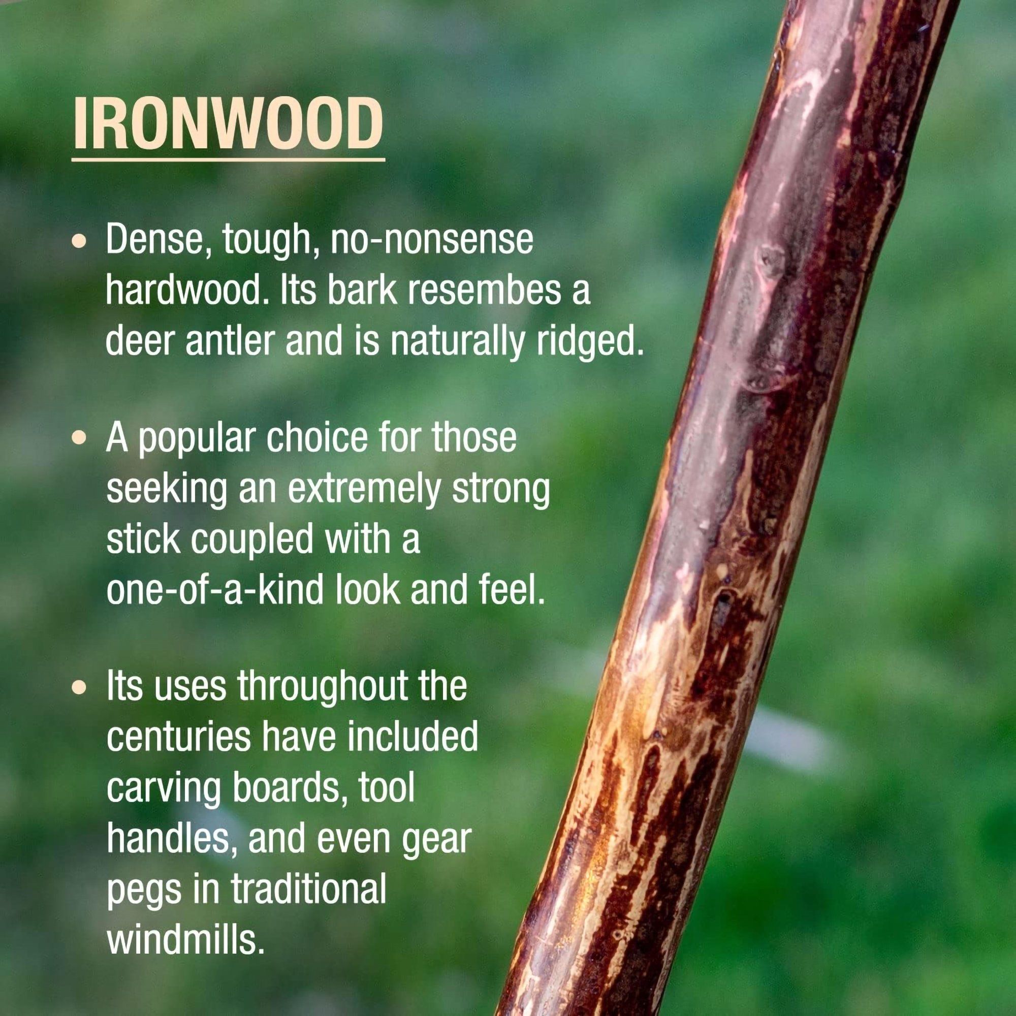 Brazos Ironwood Rustic Walking Stick, 58-Inch Height (EA/1)