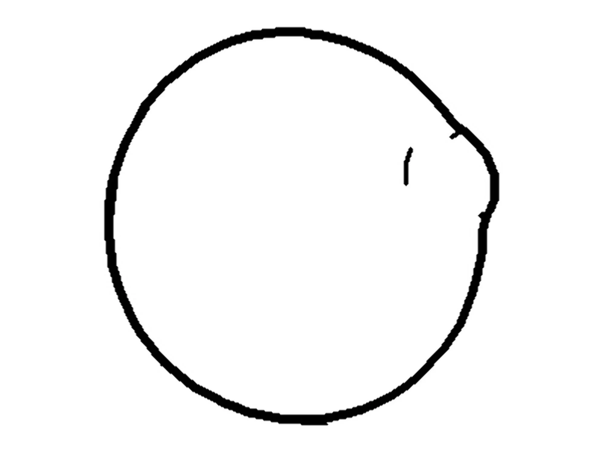 New Genuine Ford Door Fuel Tank Filler Access (2009-2014) OE 9L3Z-83405A26-AA