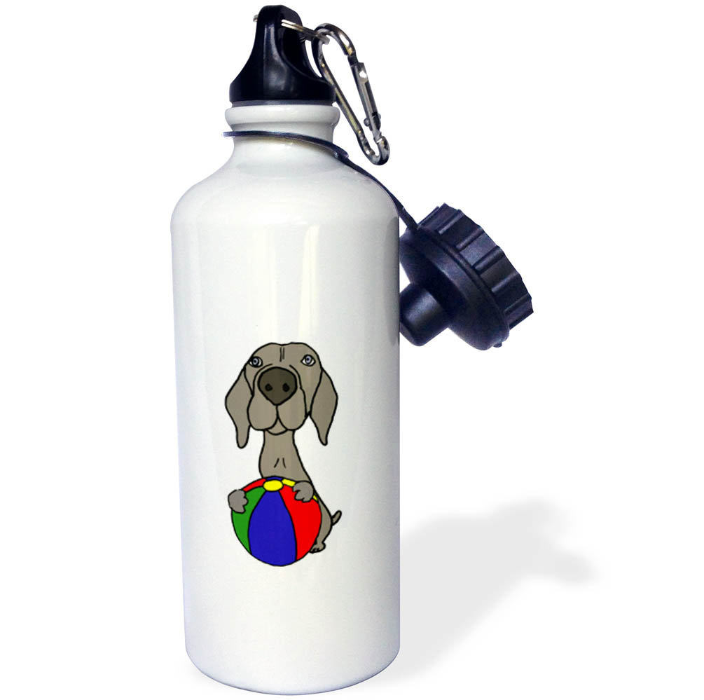 3dRose Funny Cute Weimaraner Puppy Dog with Beach Ball - Straw Water Bottle, 21-ounce