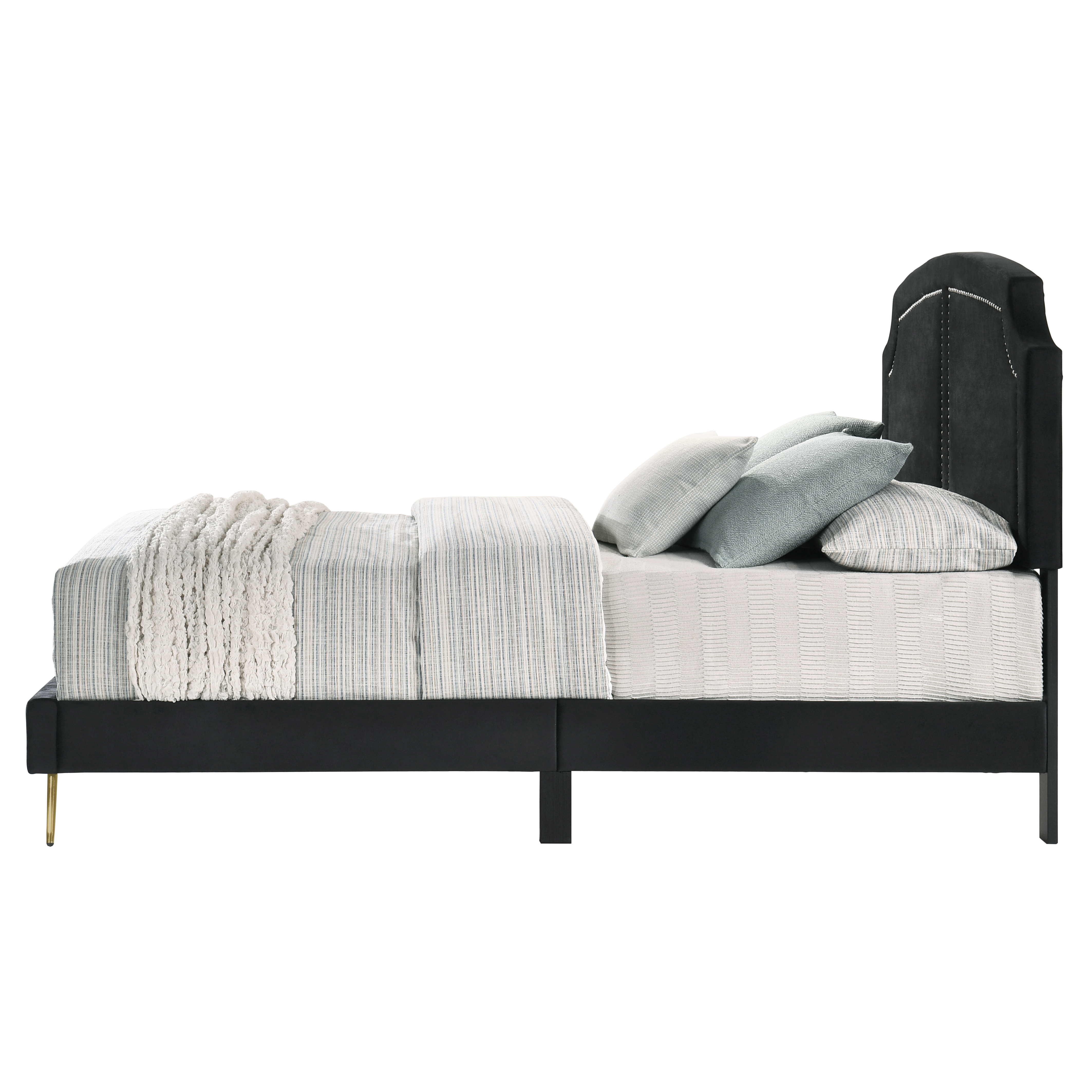 ACME Zeena Queen Bed in Black Velvet