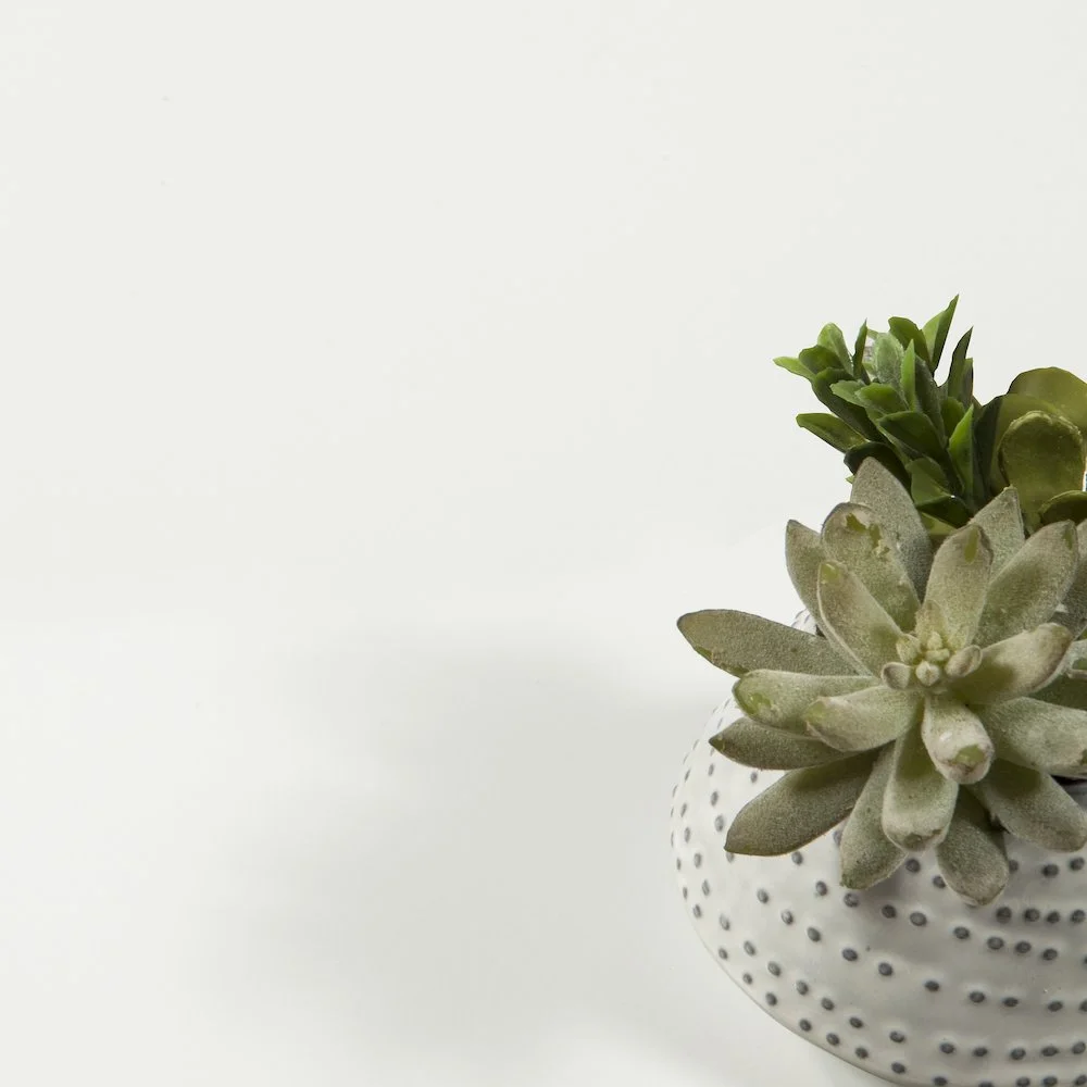 Belen Kox Queen Bed with Slat Roll