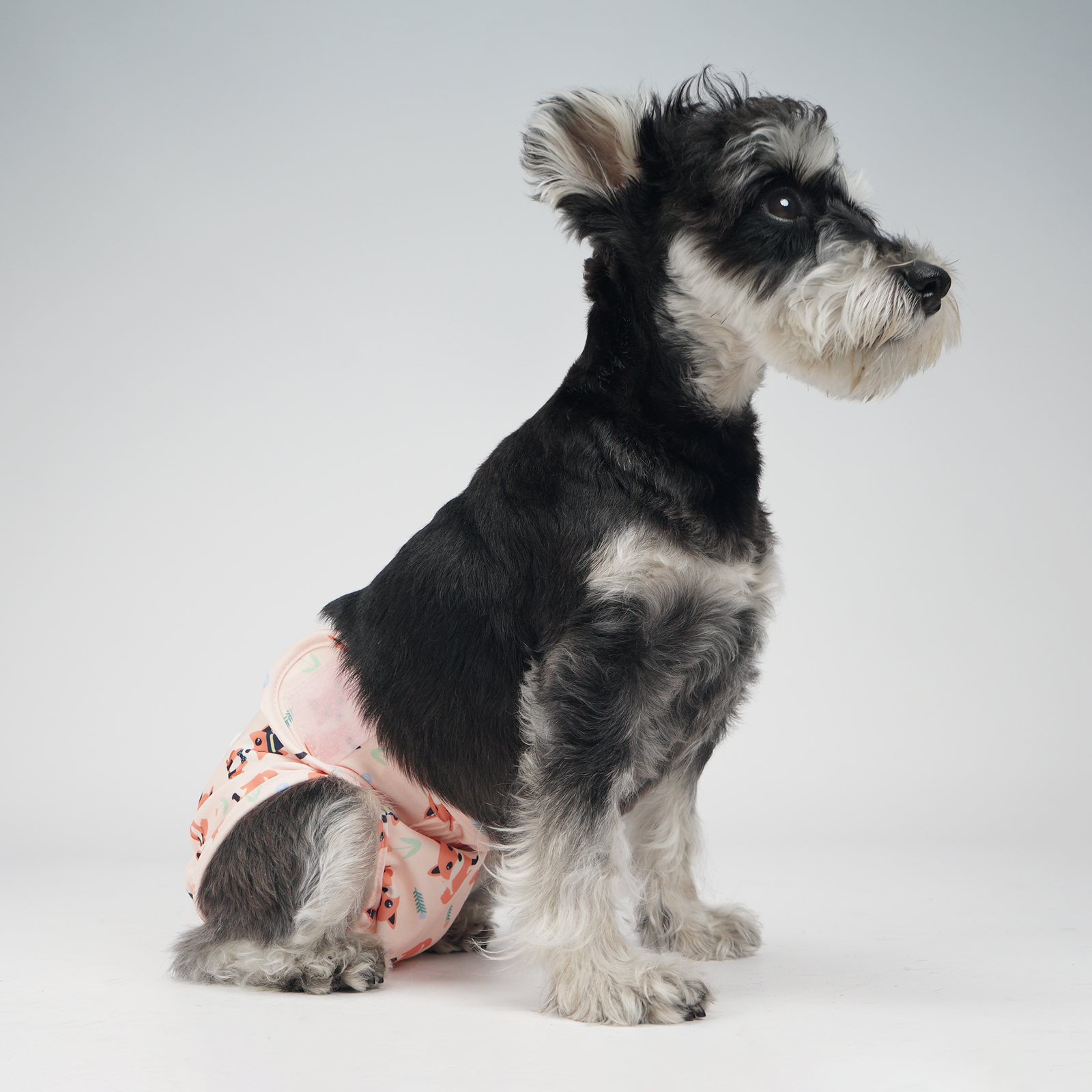 InnoPet Female Dog diapers (3 Pack), Ideal Dog Diaper for All Breads of Dogs, Reusable, Washable and Durable, Soft and ventilate materials with Absorbent Pads, Applicable to Any Occasions.