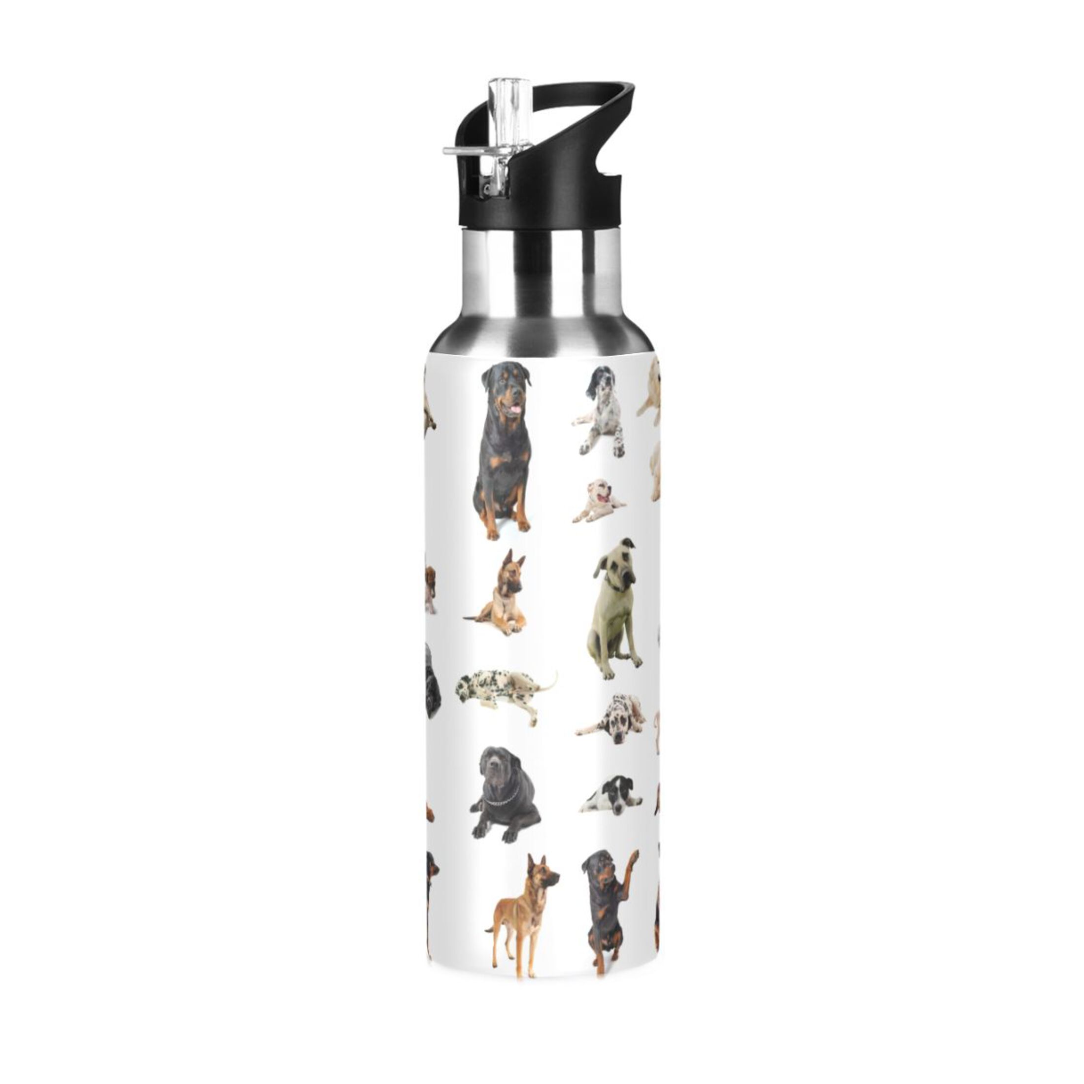 Dogs Different Water Bottles Insulated Thermos Kids Stainless Steel Bottle with Straw Lid Flask Leakproof for Sports Gym 20 oz