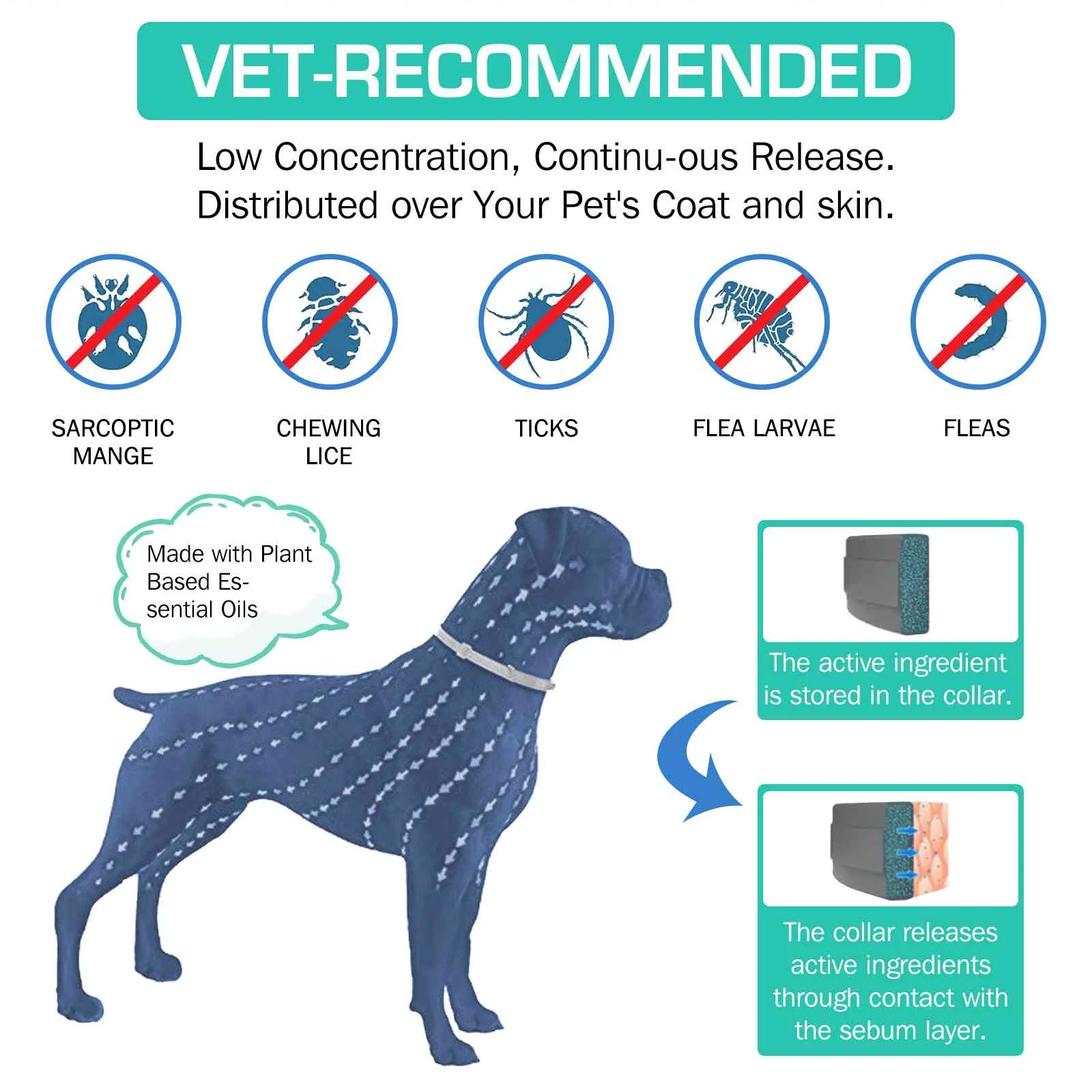 UrbanX Collar for English Foxhound and Other Large Size Hound Dogs. Waterproof & Adjustable (2 Packs)