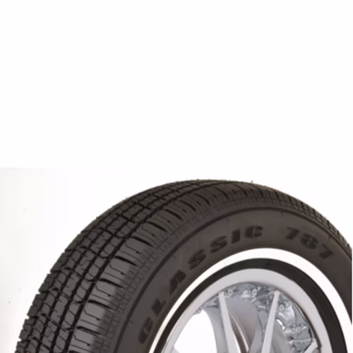 Venezia 787 P225/75R15 102S WSW (2 Tires)