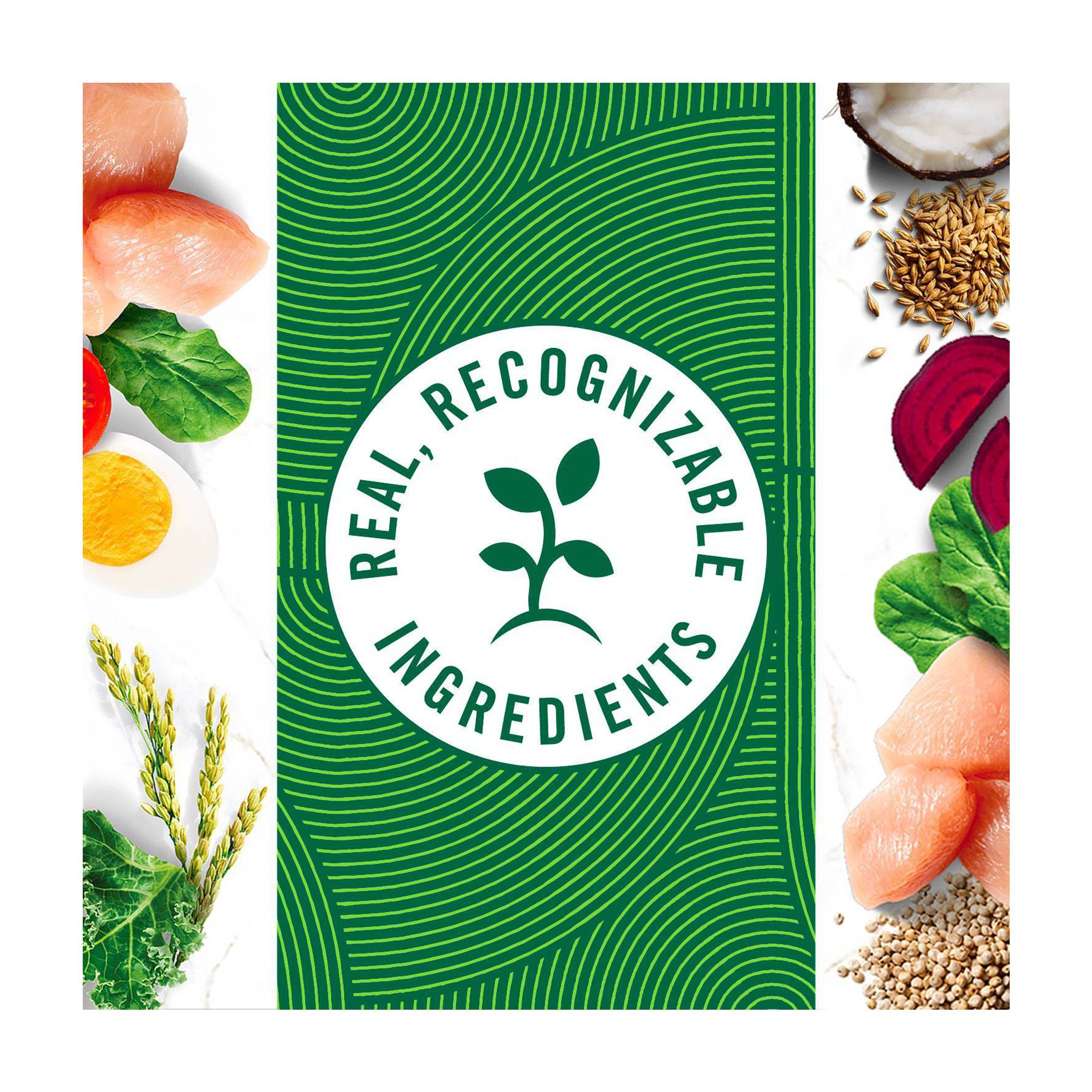 Natural Choice Chicken and Brown Rice Recipe Adult Dry Dog Food - 30lbs