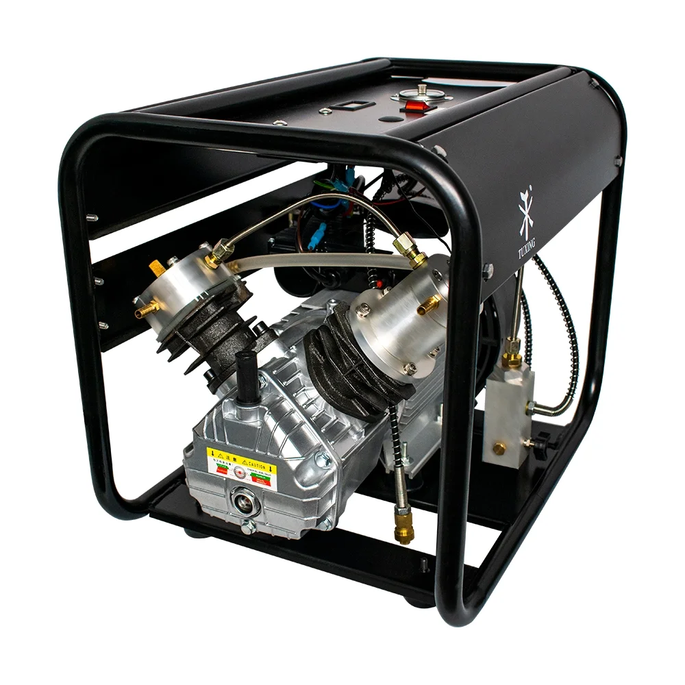 TUXING 4500Psi PCP Air Compressor,Scuba Tank Diving Compressor,Double Cylinder High Pressure Pump with Adjustable Pressure for Filling Pcp Air Rifles,Scuba Diving Tanks 110V(TXED012)