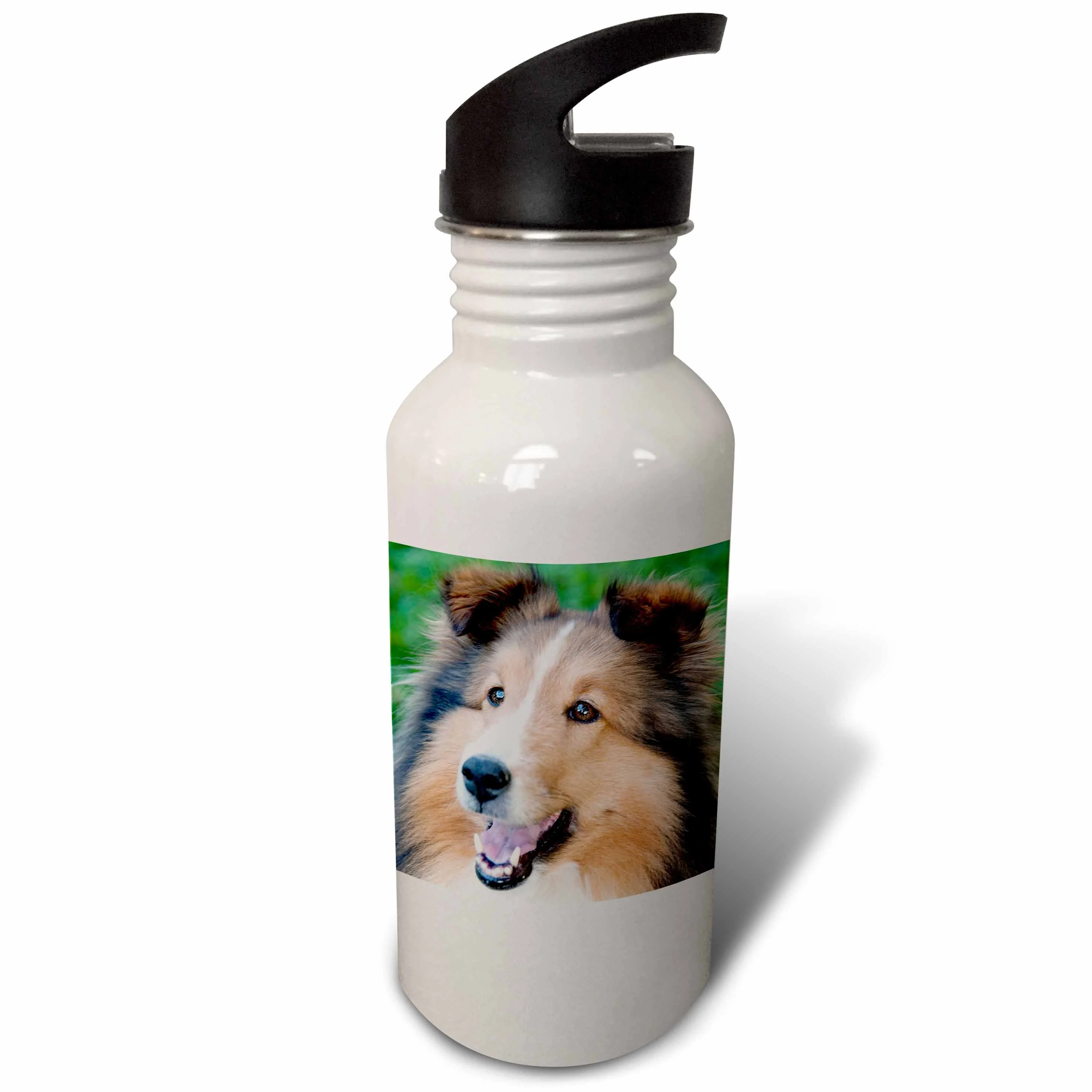 3dRose Collie Smiling, Sports Water Bottle, 21oz