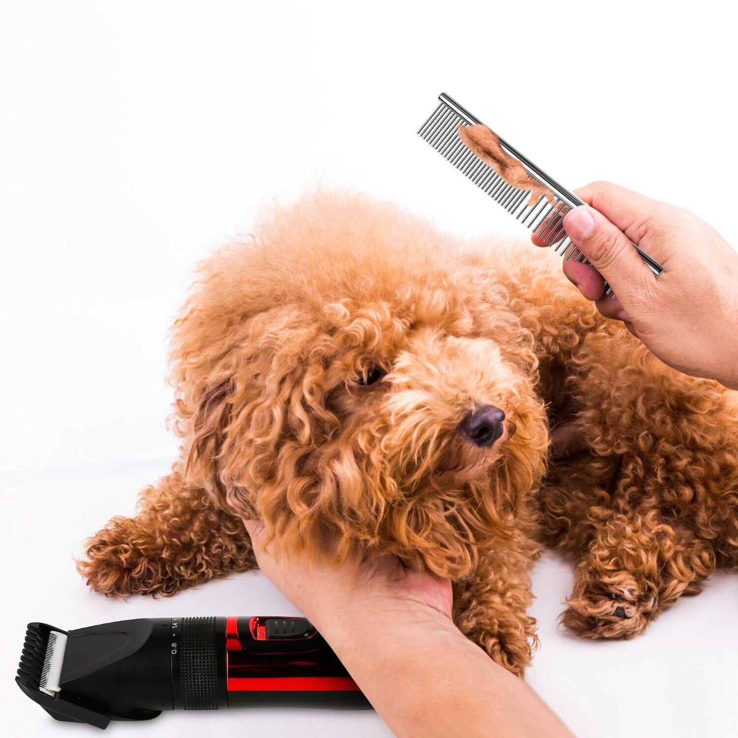 Professional Groomer Pet Grooming Kit Dog Cat Trimmer Hair Clippers Shaver Quiet