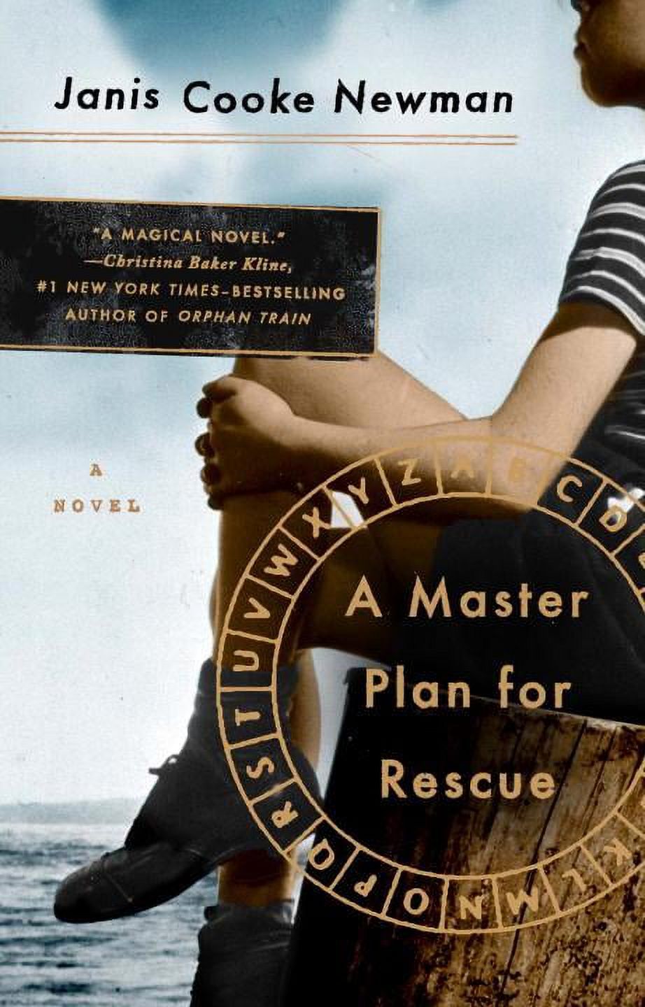 Pre-Owned A Master Plan for Rescue (Paperback 9780399185021) by Janis Cooke Newman