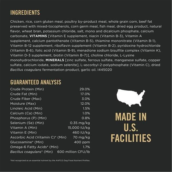 6 lb Focus Small Breed Adult Dry Dog Food