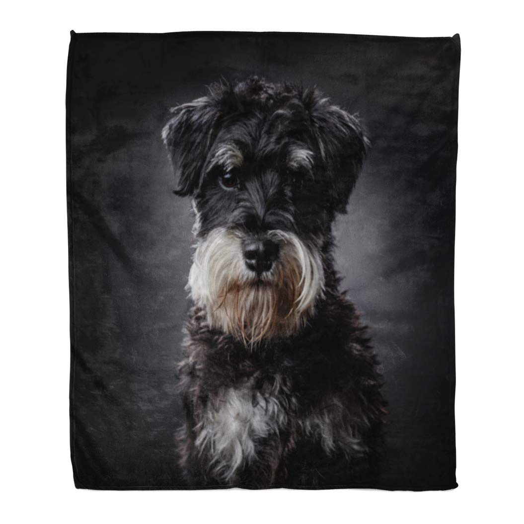 LADDKE Throw Blanket Warm Cozy Print Flannel Brown Dog Schnauzer Portrait on Dark Grey Pet Adorable Comfortable Soft for Bed Sofa and Couch 50x60 Inches