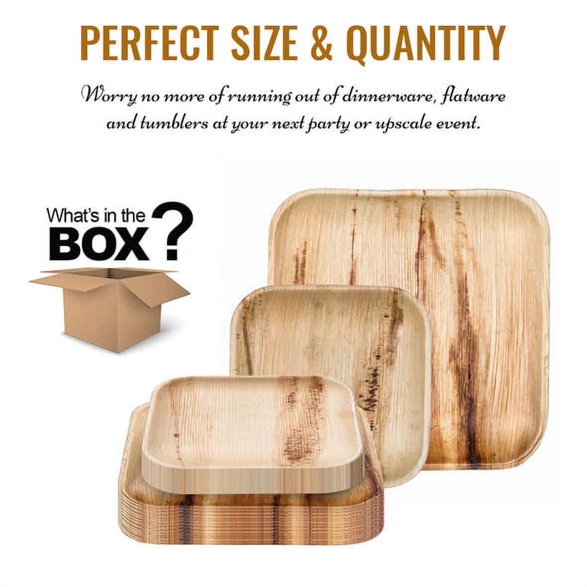 Square Palm Leaf Eco Friendly Disposable Dinnerware Value Set (100 Guests)