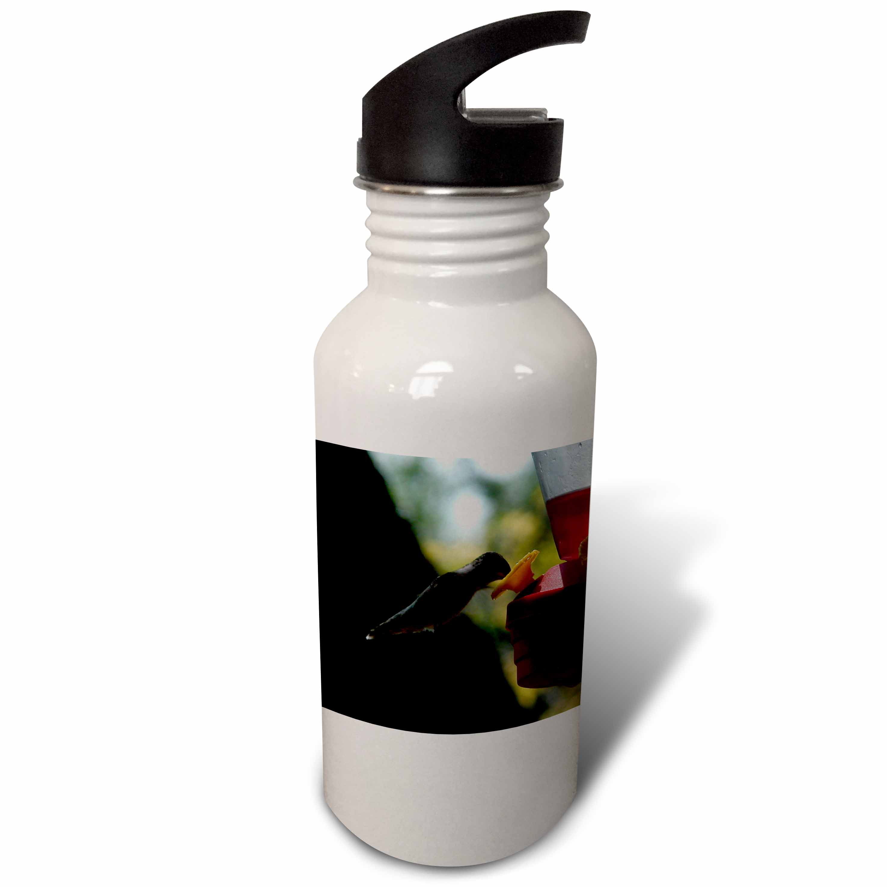 3dRose Hummingbird Drinking, Sports Water Bottle, 21oz