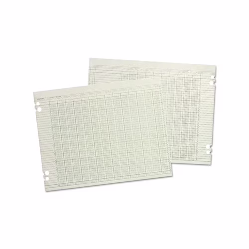 Accounting Sheets 30 Columns, 11 x 17, 100 Loose Sheets/Pack, Green