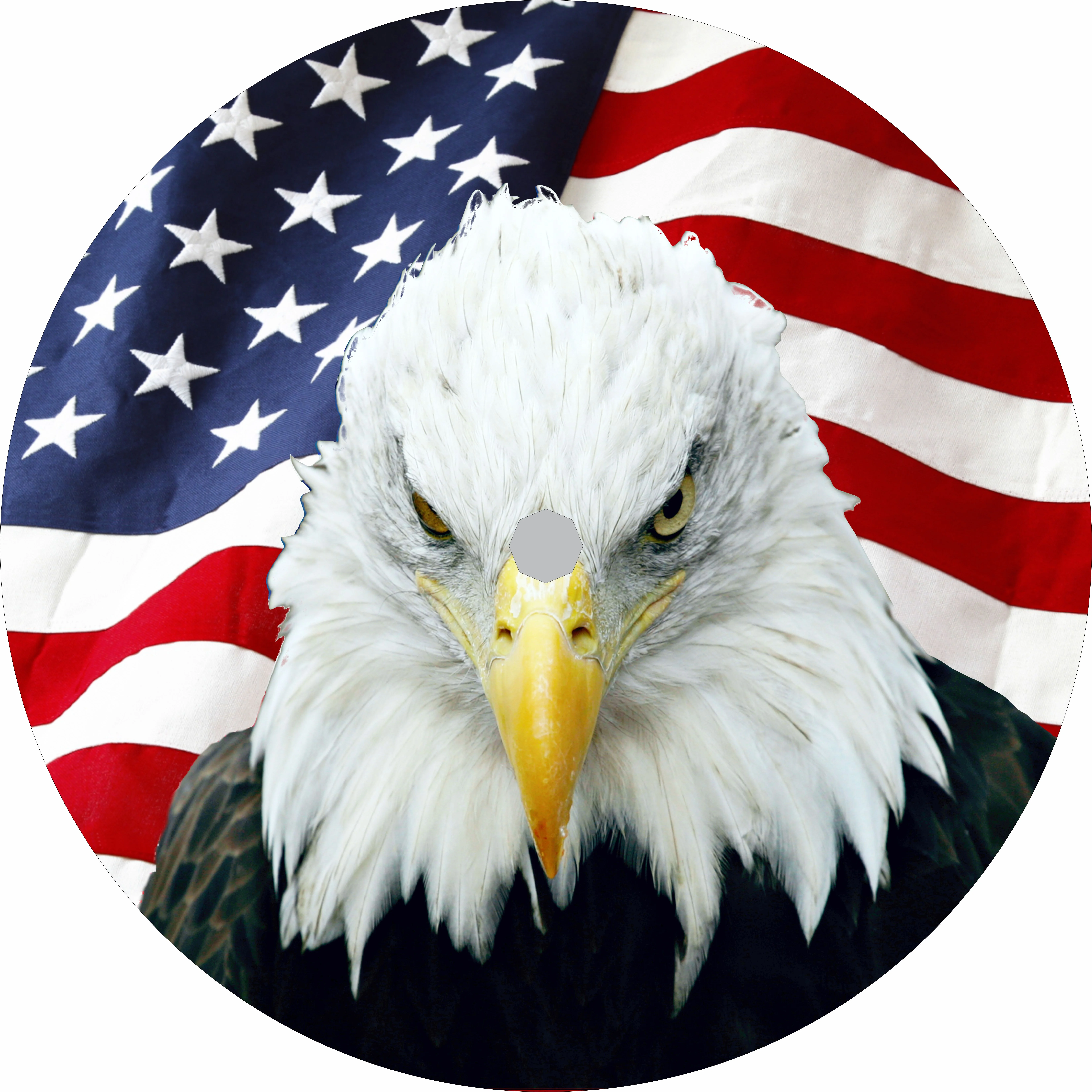 Tire Cover Central Eagle US Flag Black Vinyl (Select Size/Camera in Menu) 255/70r18