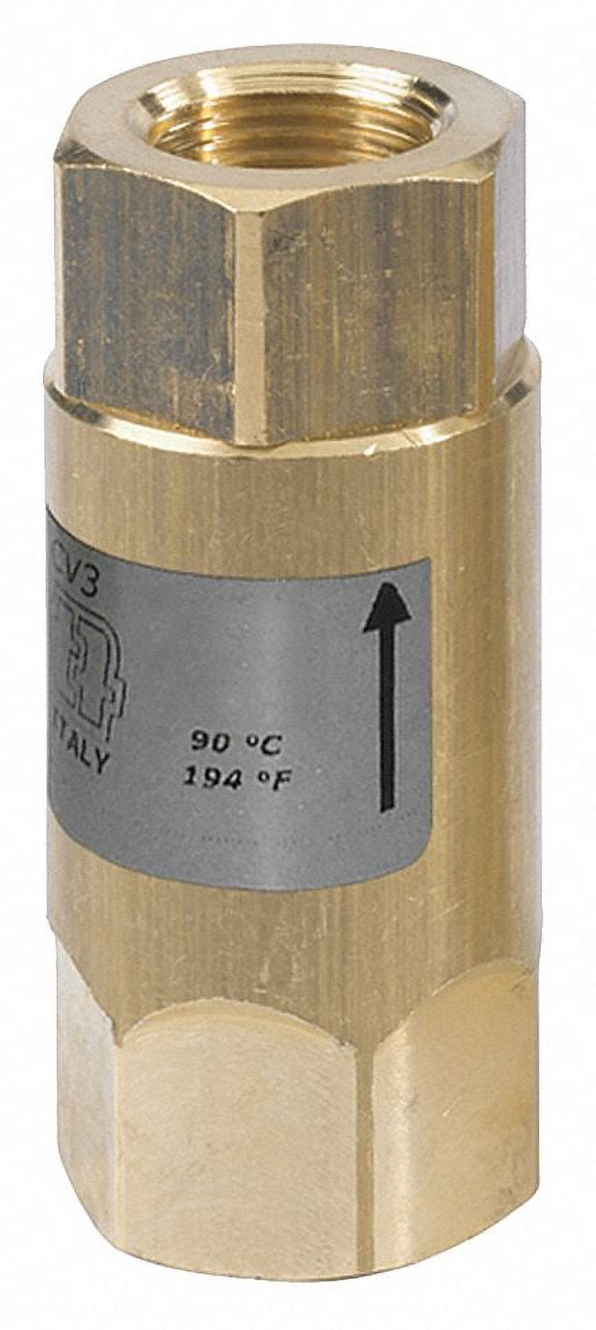 Mecline Spring Check Valve,Brass, Buna,SS,1/2