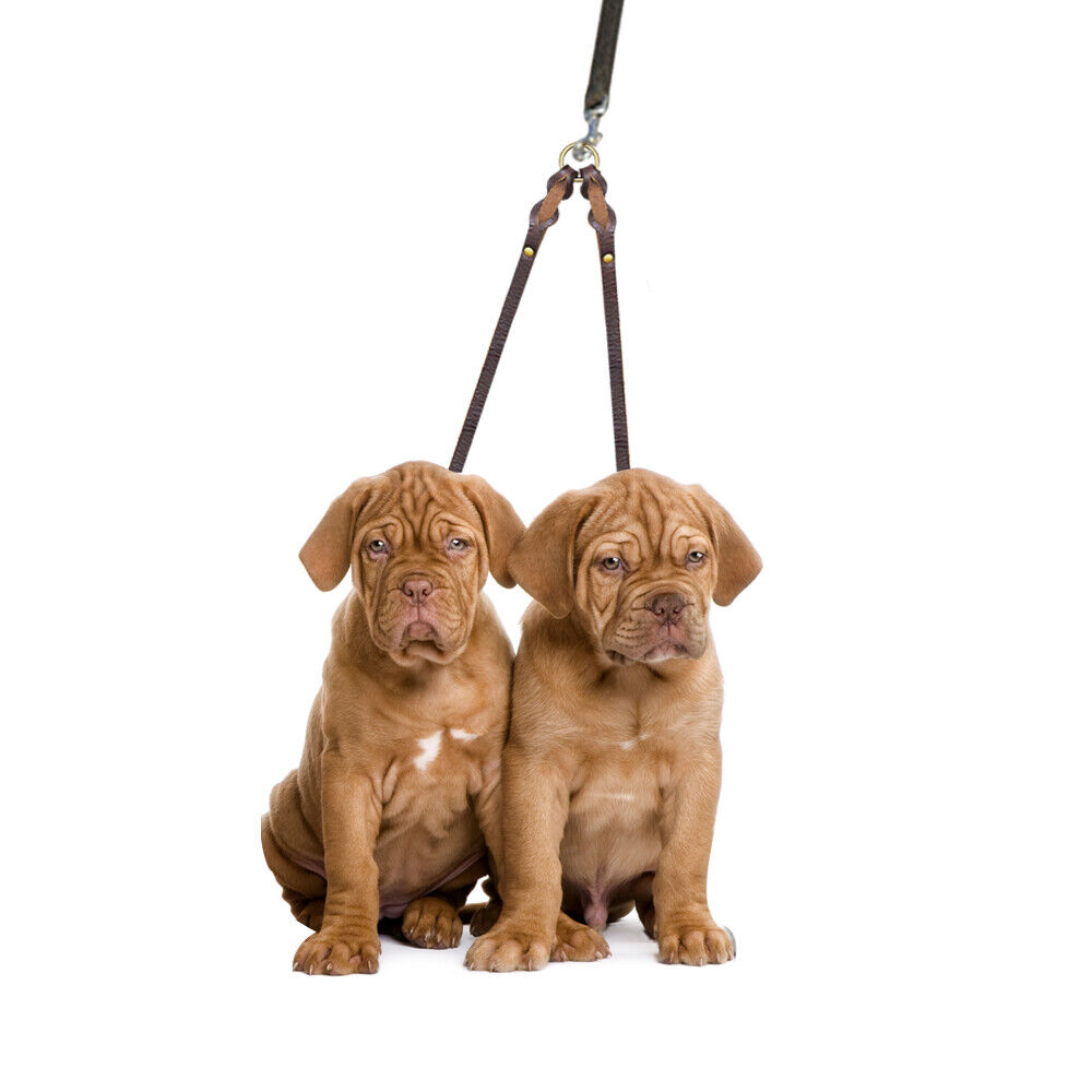 2 Way Braided Leather Dog Leash Double Coupler Splitter Walking Lead Twin Dogs