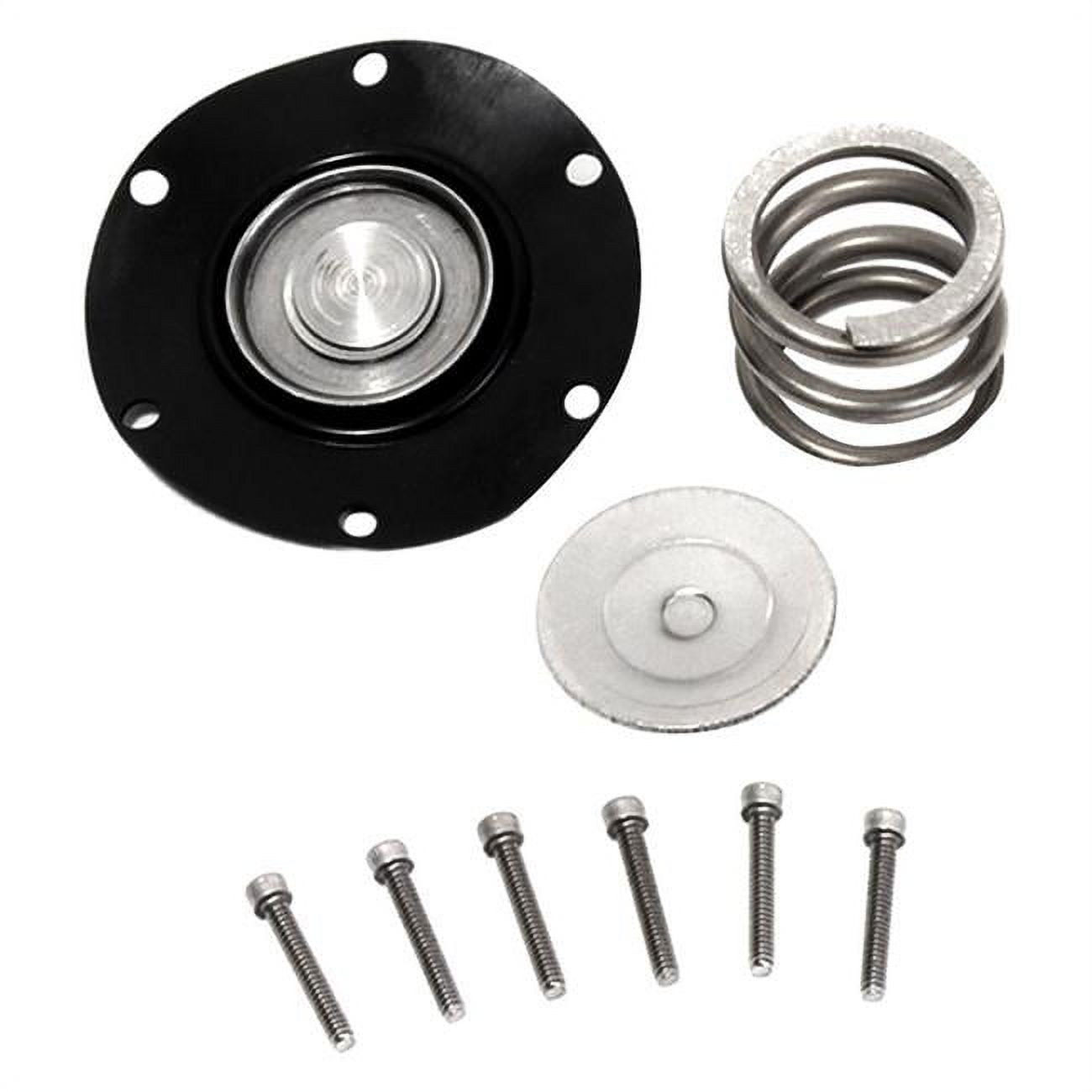 1914 Fuel Pressure Regulator Rebuild Kit for 1986-1993 Ford Mustang