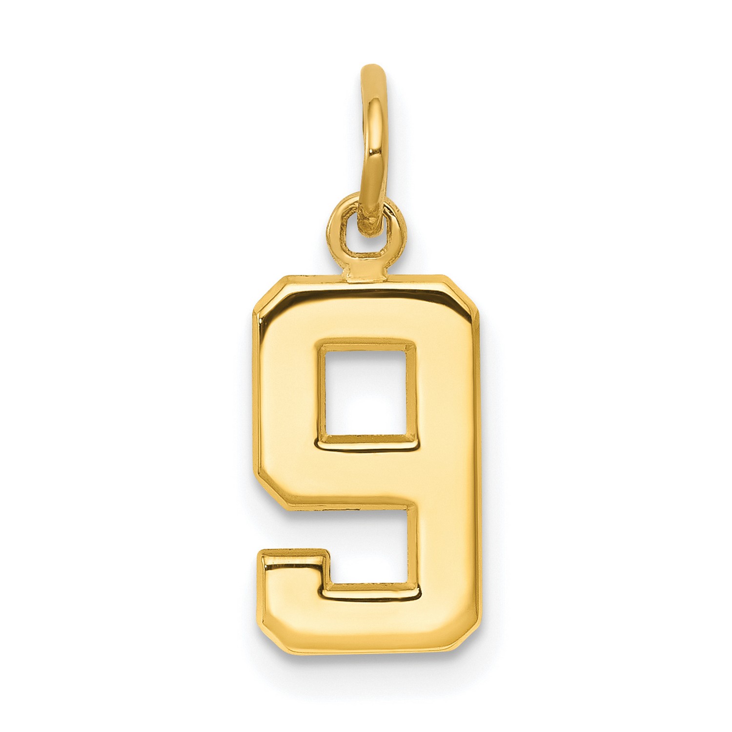 14k Yellow Gold Solid Small Polished Number 9 Pendant With Textured Back 14 mm x 7 mm