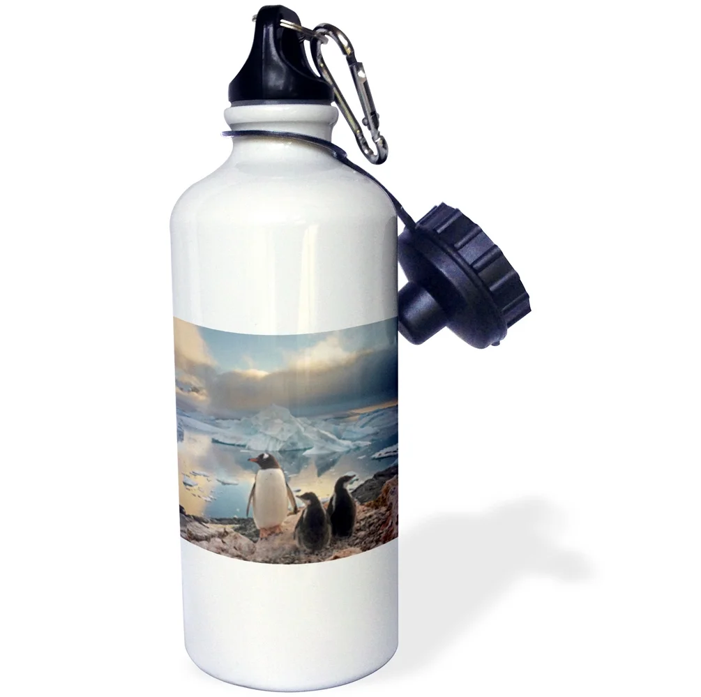 Gentoo penguin, Western Antarctic Peninsula-AN02 SKA0232 - Steve Kazlowski 21 oz Sports Water Bottle wb-74224-1