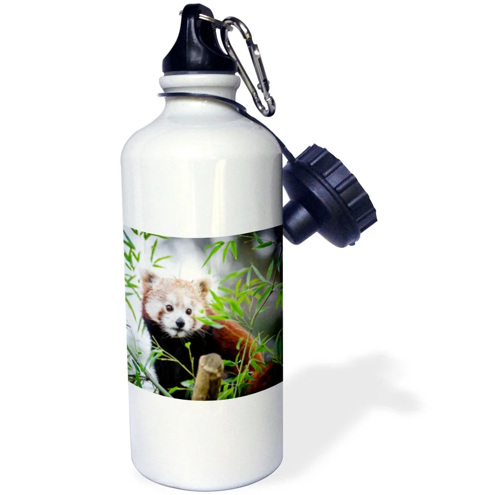 3dRose Red Asia Panda Bear in the Free Nature Wildlife - Straw Water Bottle, 21-ounce