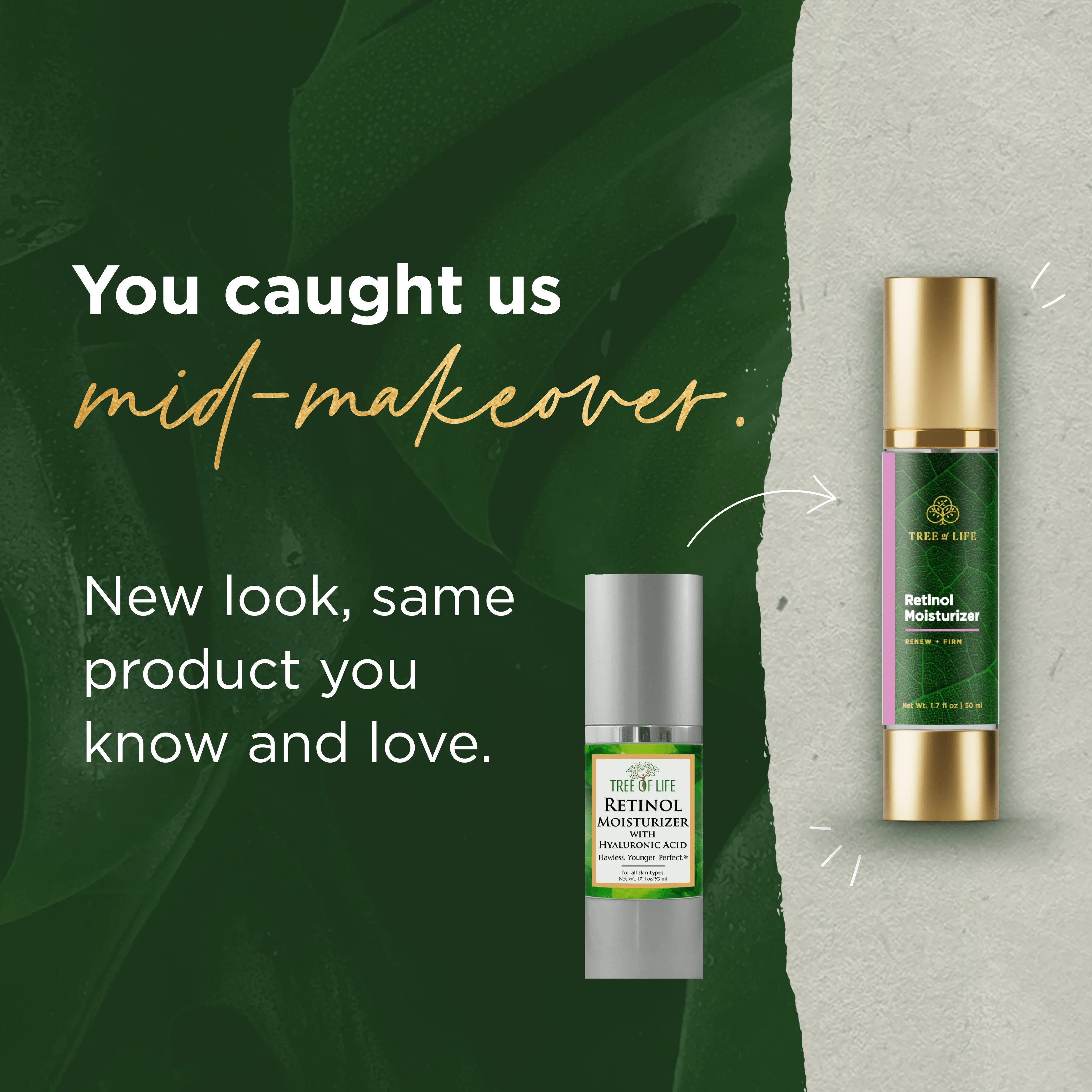 Tree of Life Retinol Facial Moisturizer | Renewing Face Cream with Botanical Hyaluronic Acid, 2 fl oz