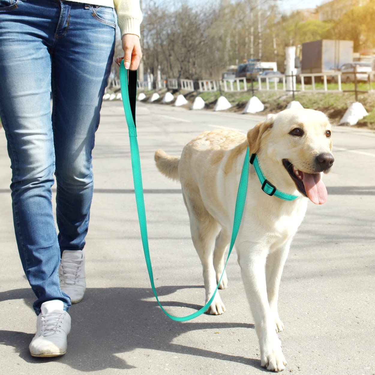 Dog Collars and 5FT Double-Sided Reflective Dogs Leash Set, Nylon Material for Walking and Traning Suit for Medium & Large Dogs, Teal