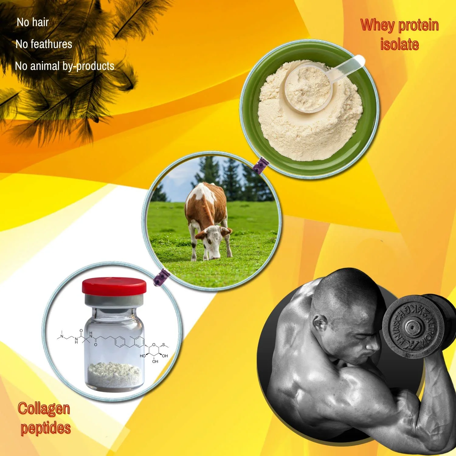 Twinlab Amino Fuel - 16 fl oz Amino Acids