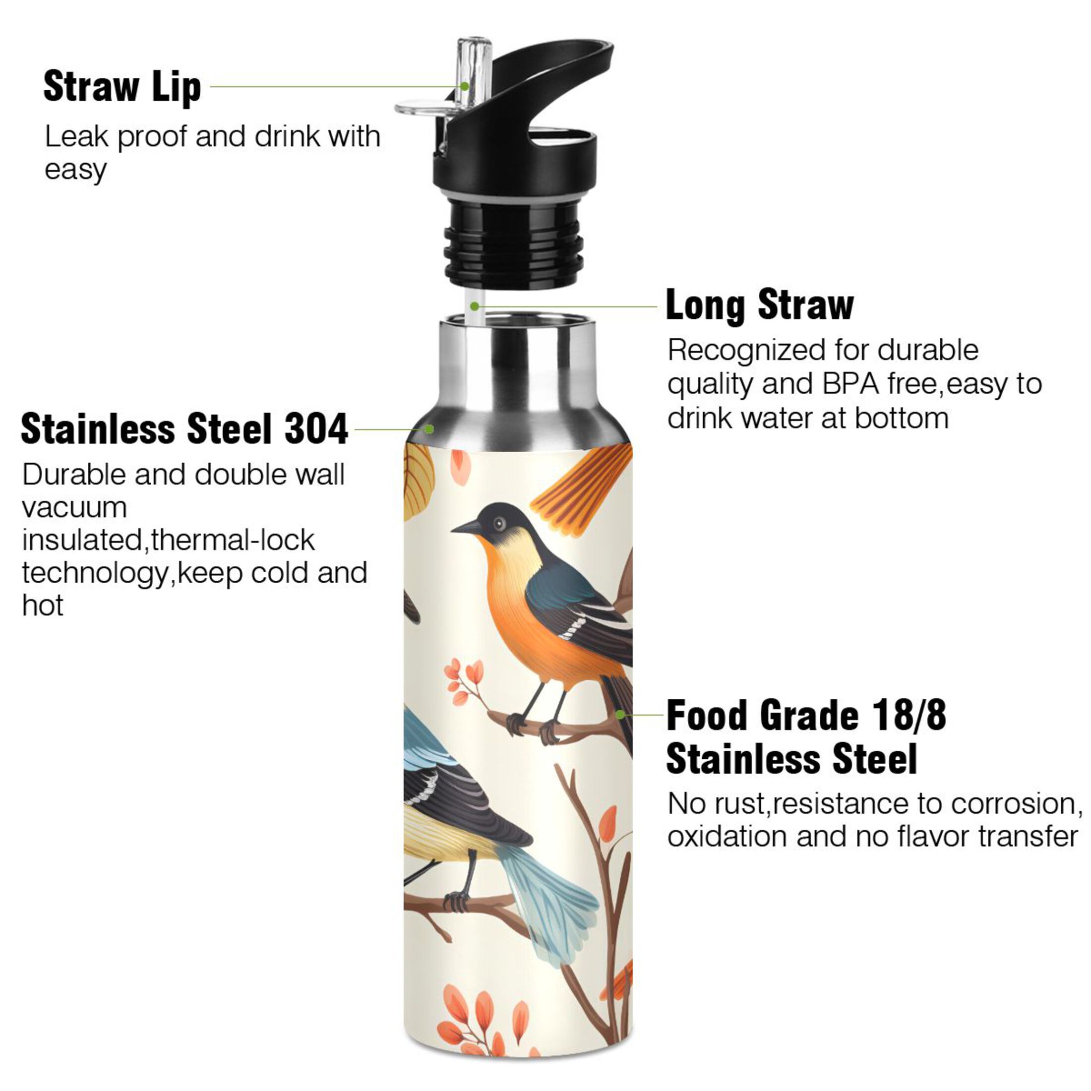 Different Cute Birds on Branch Water Bottles Insulated Thermos Kids Stainless Steel Bottle with Straw Lid Flask Leakproof for Sports Gym 20 oz