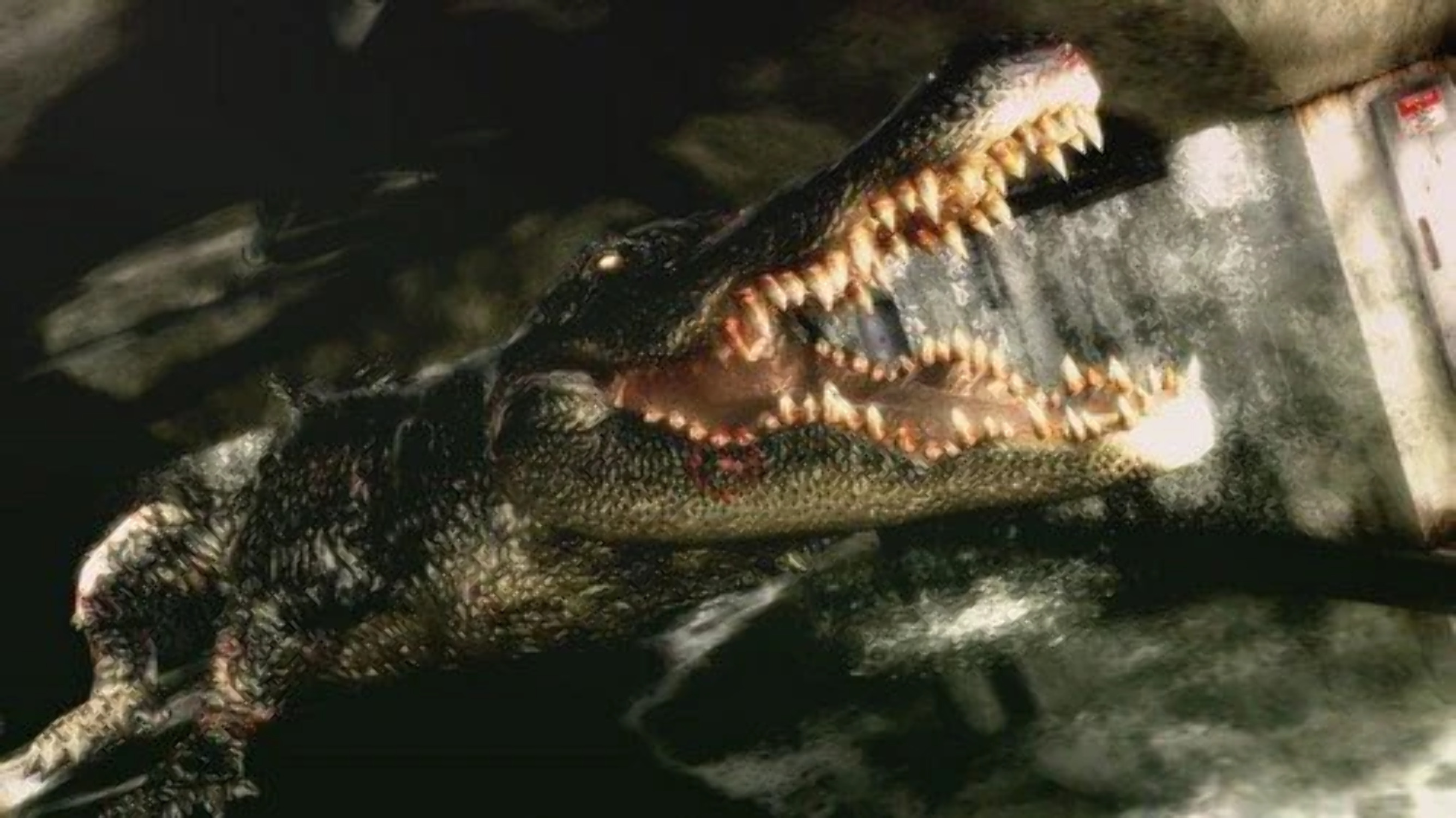 Resident Evil: The Darkside Chronicles | Nintendo Wii