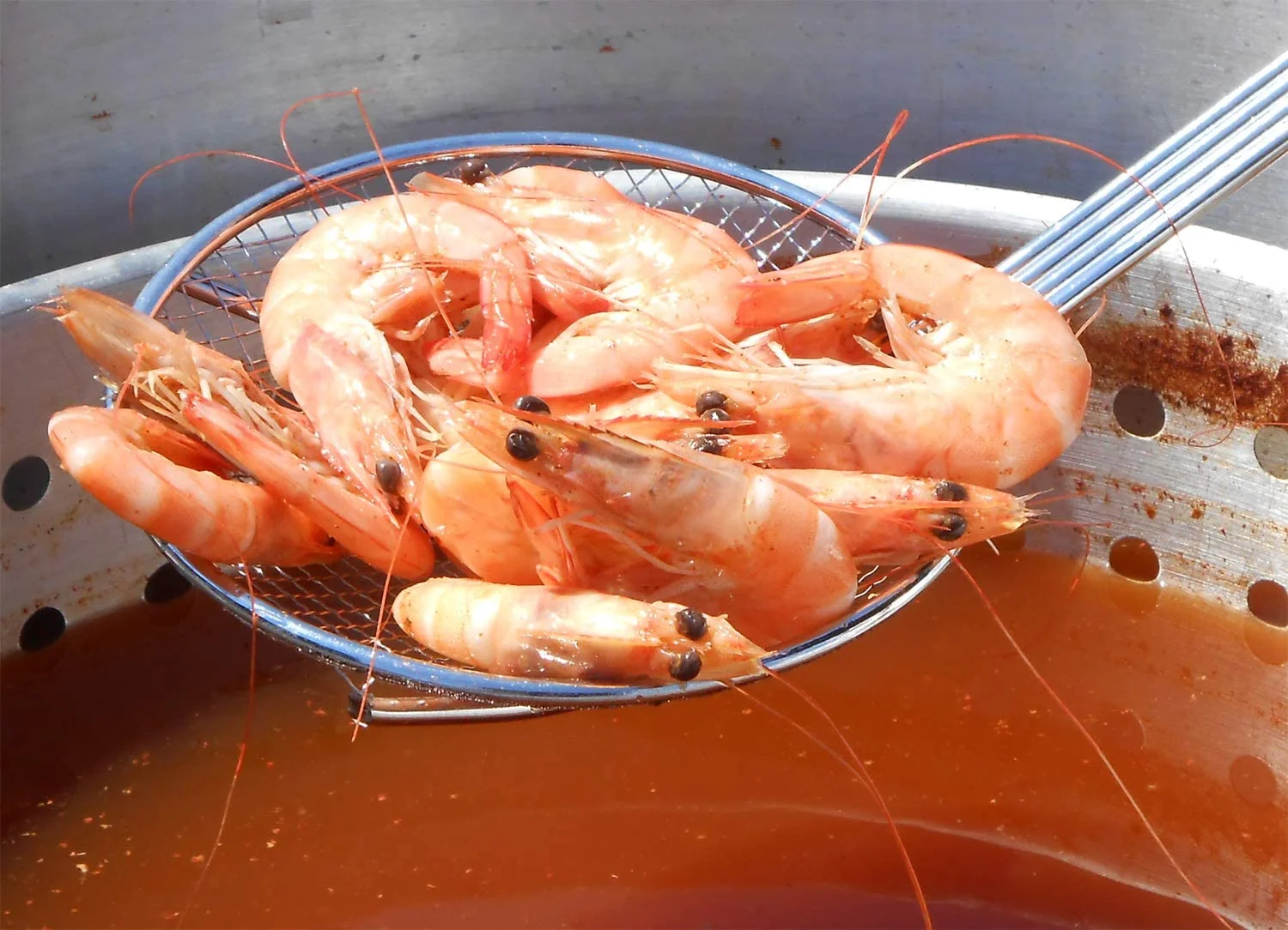 TFK-TG-3001 30 10 Qt. Fish & 30101 36-in Wooden Stir Crawfish Boil Pot Home Brew Paddle, Beige