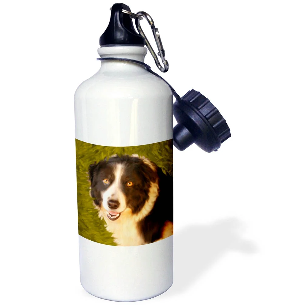 Border Collie 21 oz Sports Water Bottle wb-11977-1