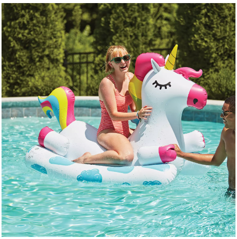 Novelty Ride-On Pool Float